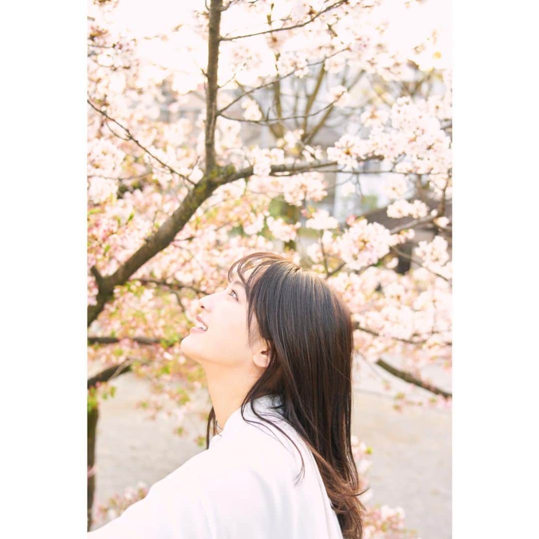 速瀬愛さんのインスタグラム写真 - (速瀬愛Instagram)「･ ･ ･ 桜が恋しいねぇ ･ ･ 📷´- @158nkao」4月20日 19時35分 - ai_hayase_official
