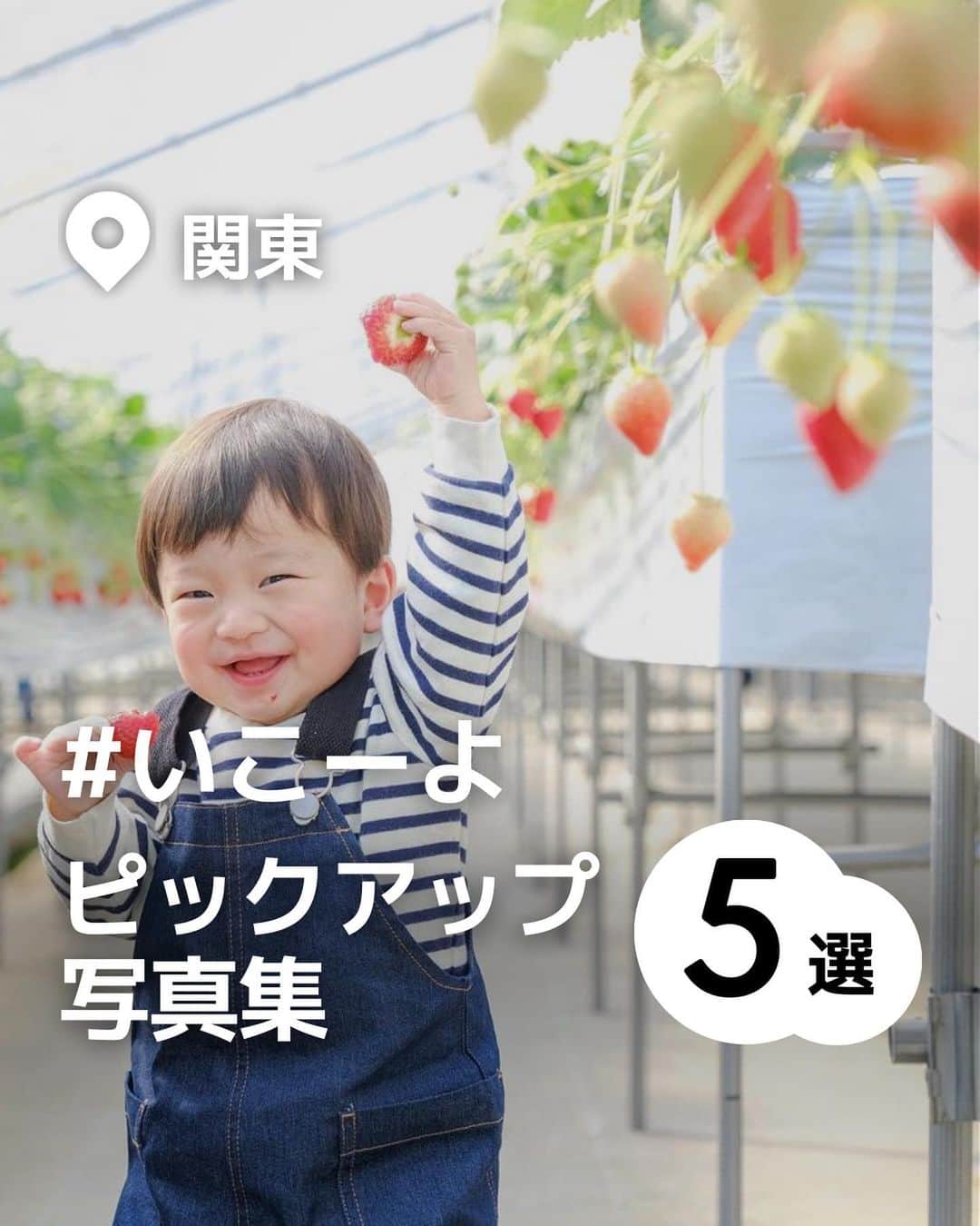 iko-yo（いこーよオフィシャル）のインスタグラム：「「関東　#いこーよピックアップ写真集 5選」 今回ピックアップしたのは↓ ーーーーーーーーーーーーーーーーーー 📍埼玉県羽生市 【ハイフラワーいちご組】 利根川の雄大な流れのほとり、羽生市発戸・村君地区に位置する広い農園。花壇苗の生産を主に行い、花の技術を応用し2020年よりいちご農園の稼働をスタート！じゃがいもや山芋などの露地栽培やイチジク、ブルーベリーなどの収穫体験も開始しています。 @kei_ko_tori さん、素敵なお写真ありがとうございます！  📍東京都江戸川区 【葛西臨海公園】 大空のもと紺ぺきの海が広がる東京湾に、緑と水と人のふれあいをテーマに五つのゾーンを配して誕生した公園。海を臨んだ観覧車に乗れば、子供も大人も景色に満足です！ @sun_and_sand_photograghyさん、素敵なお写真ありがとうございます！  📍東京都立川市 【屋内・冒険の島　ドコドコ】 他では体験できない体をめいいっぱい動かした冒険遊びができる場所！最新の技術で表現した激流滑りや妖精との出会いなど、夢いっぱいの冒険遊びが楽しめます。泥で汚れたり水で濡れることもなく、パパママにとってもお子さまを安心して遊ばせられる施設です。 @rree_mmiiさん、素敵なお写真ありがとうございます！  📍東京都稲城市 【よみうりランド】 40種類以上のアトラクションは小さな子供が楽しめるものから絶叫系までバリエーション豊富！三世代で一緒に緑いっぱい、のびのび遊べる広い遊園地です！ @shieriku.39さん、素敵なお写真ありがとうございます！  📍 東京都江東区 【キッザニア東京】 楽しみながら社会のしくみを学ぶことができる「こどもが主役の街」体験できる仕事やサービスは100種類！本格的な設備や道具を使って、こども達は大人のようにいろいろな仕事やサービスを体験することができます。 @harumama_gramさん、素敵なお写真ありがとうございます！  ※2023年4月18日時点の情報です。 最新の情報は公式HPや「いこーよ」サイトでご確認ください。 ーーーーーーーーーーーーーーーーーーー おでかけ情報量は日本最大級！ 子どもとお出かけ情報サイト「いこーよ」 「親子でおでかけしたい場所」をご紹介させていただいています！  お子さんとのおでかけの思い出の写真を、このアカウントをフォローの上#いこーよ をつけてぜひ投稿してください。魅力的な写真は、いこーよ公式SNSで紹介させていただきます！  募集中タグ＃いこーよ  「子どもと行きたい！」と思ったら保存が便利！ プロフィールのURLから「いこーよ」のサイトに行くと、他の投稿やオトクな情報などが載っています♪ ☞ @ikoyo_odekake  #いこーよ #お出かけ #おでかけ #お出かけスポット #子連れ #こどものいる暮らし #子連れスポット #いこーよお出かけ部 #神奈川ママ #神奈川観光 #神奈川旅行 #埼玉ママ #埼玉観光 #埼玉旅行 #東京観光#東京旅行#東京子連れスポット#茨城観光#茨城旅行#ハイフラワーいちご園#キッザニア東京#葛西臨海公園#屋内冒険の島ドコドコ#よみうりランド#いこーよピックアップ写真集#いこーよ写真集」