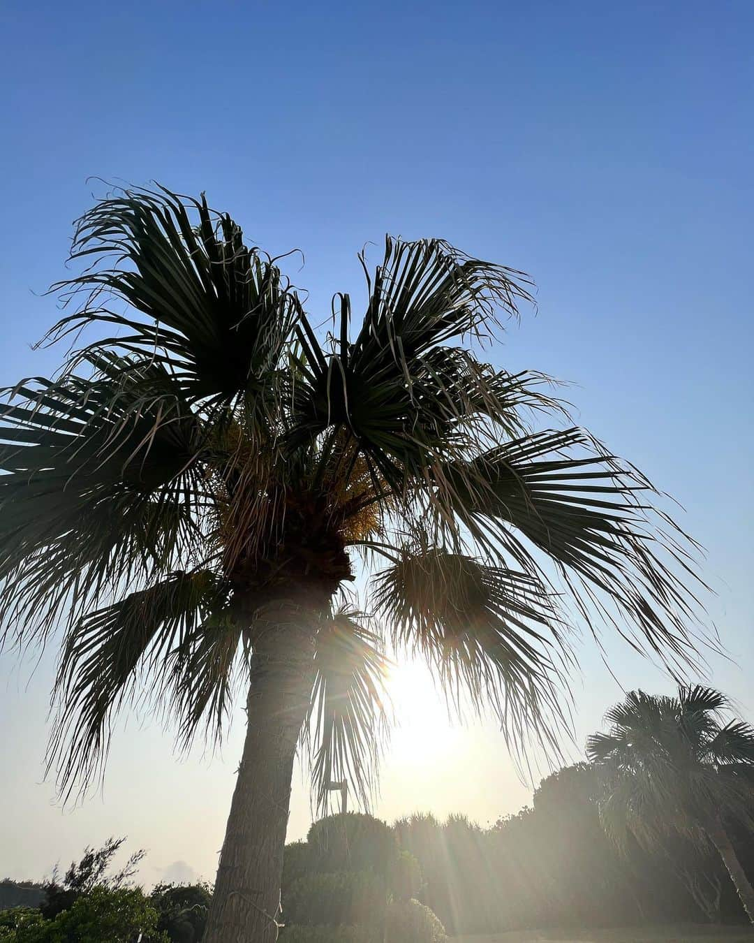 草野春香さんのインスタグラム写真 - (草野春香Instagram)「🌺🌞🌴  #okinawa  #沖縄」4月20日 20時07分 - _haruka030_