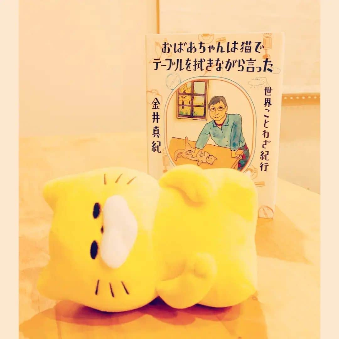 尾上緑さんのインスタグラム写真 - (尾上緑Instagram)「尾上緑のKa☆Book📖90 【おばあちゃんは猫でテーブルを拭きながら言った】金井真紀  ことわざって... お国柄が出るっ🤣  🇩🇪 『これからがソーセージだ！』  これからが正念場だ(ドイツ)  🇪🇹 『ヒョウのしっぽをつかむな 　つかんだら手放すな』  危険には近づくな でもいざとなったら最後まで粘れ（エチオピア）  🇳🇿 『タコのように死ぬな 　シュモクザメのように死ね』  人に捕まったタコは歯向かうことなく死を受け入れ、シュモクザメは命が尽きるまで抵抗するという（ニュージーランド・マオリ）  植民地化や 弾圧を受け ことわざどころか 言語まで奪われそうになりながらも  今現在 地球上に 7000語以上のことばが存在する  井の中のかわずさん🐸 知らない世界 パラパラ巡ってみては？  #おばあちゃんは猫でテーブルを拭きながら言った  #金井真紀  #世界ことわざ紀行  #ことわざ #本紹介#本#小説#本スタグラム #読書好きな人と繋がりたい #本好きな人と繋がりたい #小説好きな人と繋がりたい #本のある暮らし  #のらねこぐんだん  #歌book」4月20日 20時16分 - onoe_midori