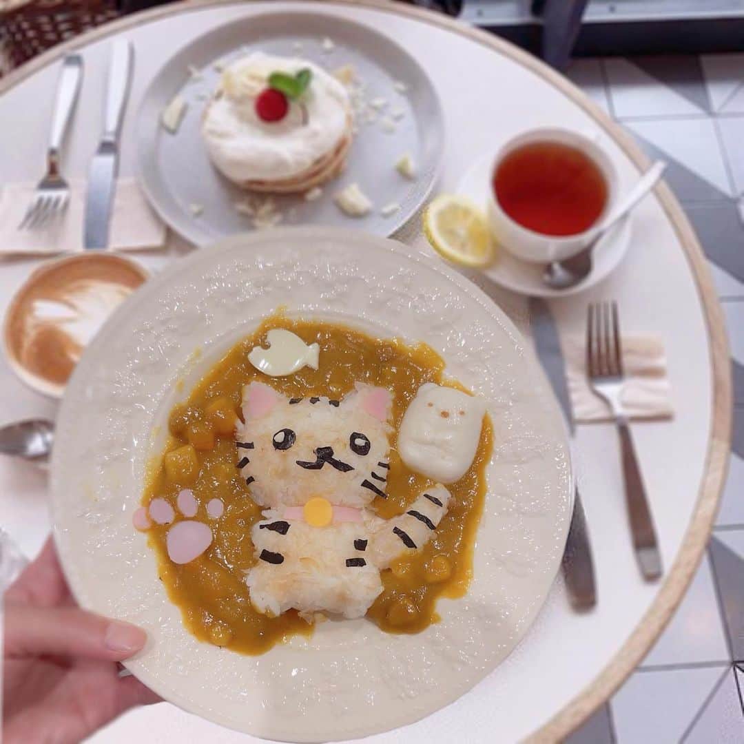 倉岡生夏のインスタグラム：「🐱🍛 ・ 今週も学校はあと一日だぁ。 おうちごはんは時短ばっかりだけど、カレーを猫ちゃんにしてみました🐱 百均のうさぎちゃん型の体だけお借りして、お顔としっぽつけて、鰹節をかけてねこちゃんぽく？しました😊 昔から私のことを知ってる人おなじみの我が家のメリー🐈も元気です♡♡ ・ ・ ・ 今夜は作り置きと復習をしたいところだけど、、🙄 ・ ・ ・ ・ #おうちごはん #おうちカフェ #おうちカフェごっこ #おうちカレー #キャラカレー #おうちカフェごはん #可愛いお弁当作りたい部 #猫部 #猫好きさんと繋がりたい #ねこ好き #にゃんにゃん #キャラ弁 #子どもごはん #可愛い猫 #ねこすたぐらむ #カレーライス #カレースタグラム #japanesefood #catstagram」