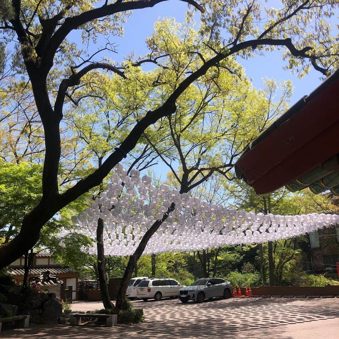 Baekさんのインスタグラム写真 - (BaekInstagram)「韓国に行ってきました！  この日は母とお寺に行ってきました。吉祥寺という길상사(ギルサンサ)というソウルのお寺ですが庭がとてもすてきな所です。 ソウルは東京よりはまだ少し寒く東京では満開の花々が今咲き始めていました。春を2回過ごしている、幸せな気持ちになりました。 お寺では蓮の灯籠や蝋燭を献灯してお祈りするので、弟のことを祈ってきました🪷 春は、いいですね！」4月20日 20時59分 - baek1030