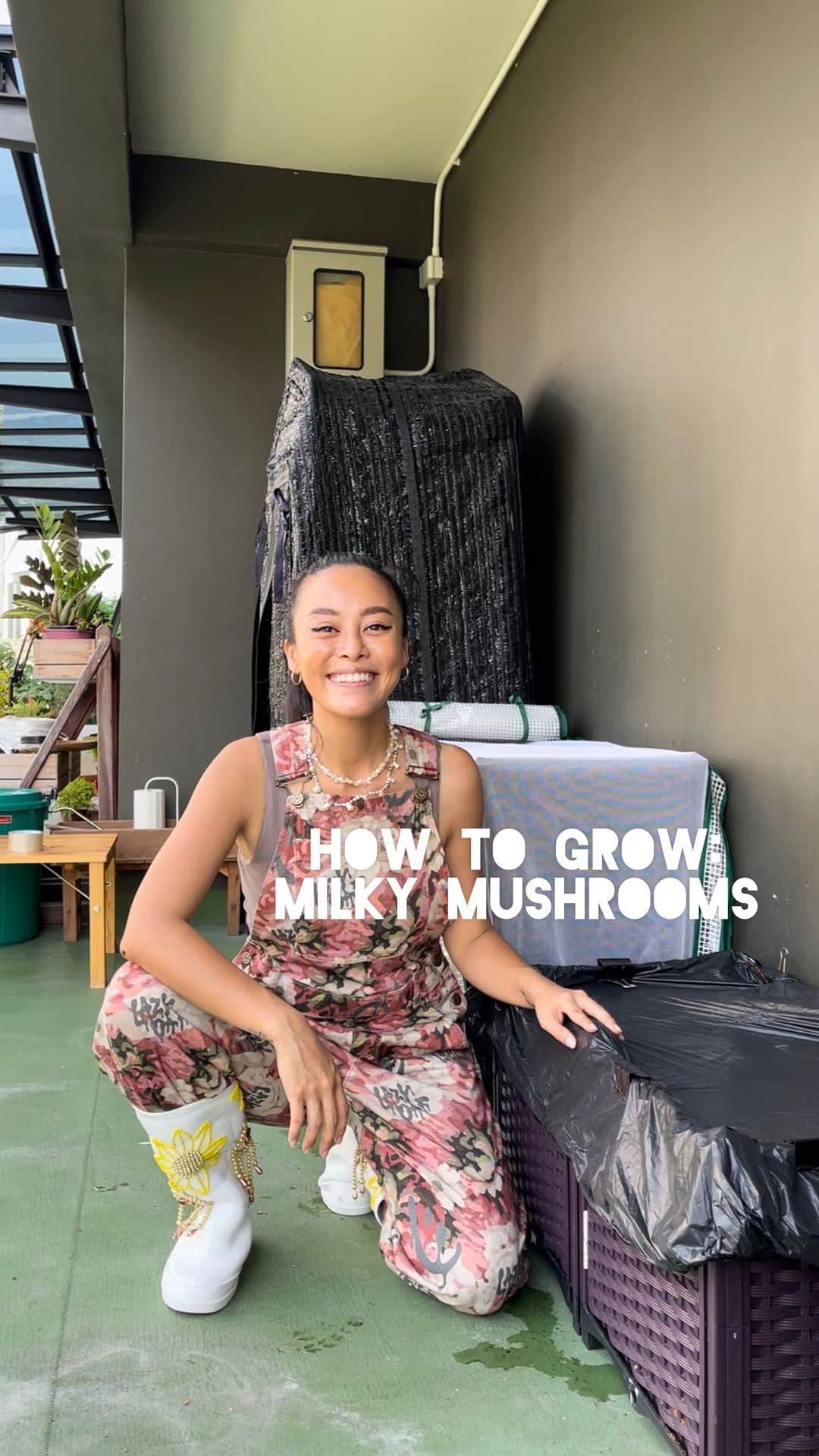 のインスタグラム：「Growing Milky Mushrooms in 31 days :) and made some into Tom Yum soup 😚 #pearypieskygarden 🍄 A full video will be up on Facebook page soon 👍🏼」