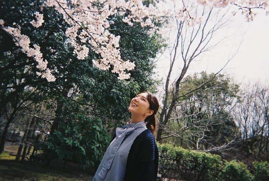 白井ゆかりのインスタグラム：「.. #写るんです  #🌸」
