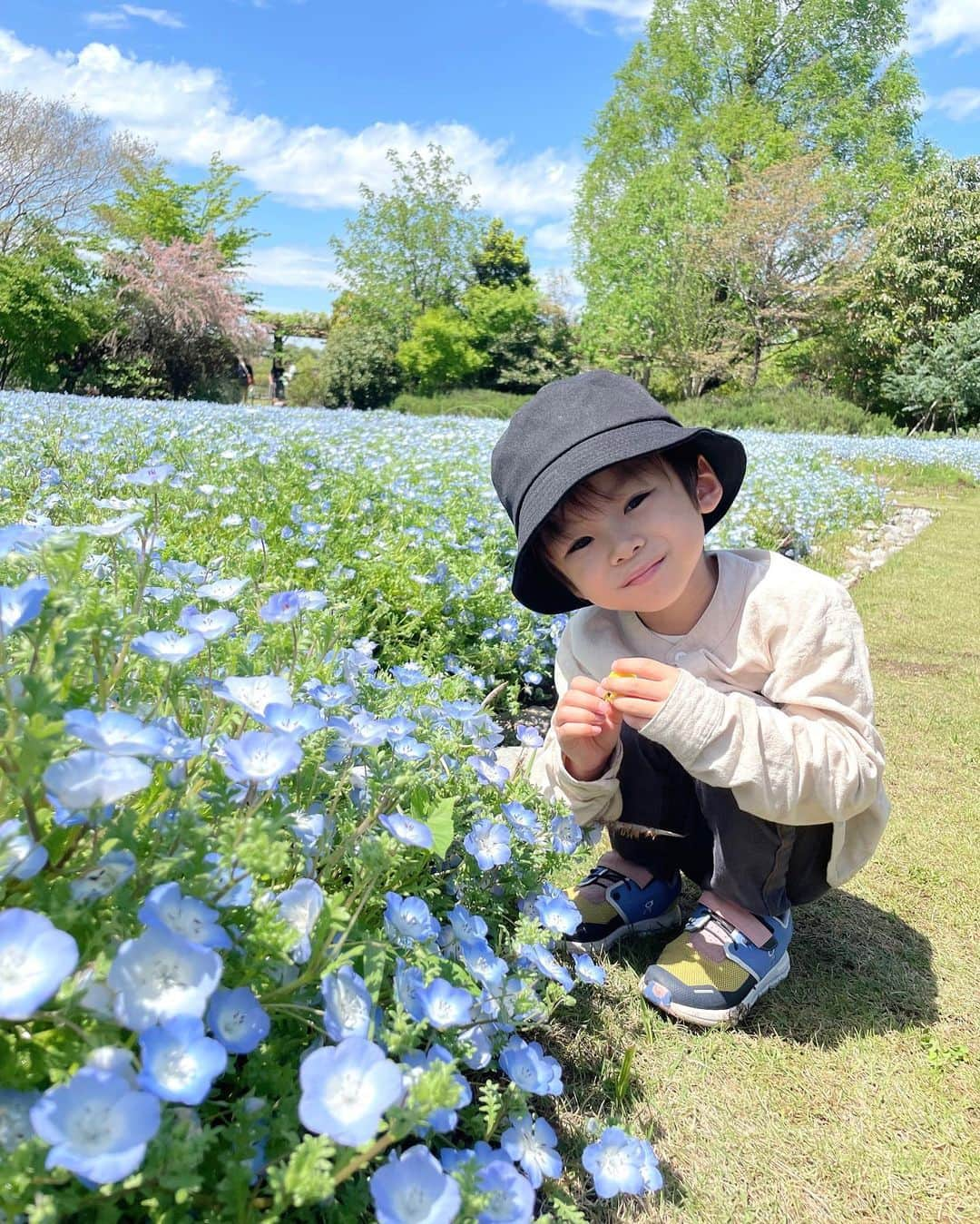 長谷川真美さんのインスタグラム写真 - (長谷川真美Instagram)「#ネモフィラ が とっても綺麗だった #花ファンタジア 💐  千葉県野田市の清水公園に行ってきました！！！ 春の花がとても見頃で綺麗だった〜💕 園内にある「caféるぴなす」で ひと休みしながらゆっくりまったり 春の花々を楽しんできたよ☺️  @shimizukouen  #supported #清水公園 #shimizukoen #花ファンタジア #カフェるぴなす #ネモフィラ#フラワーパーク #フラワーガーデン #花 #お出かけ #お出かけスポット#花のある暮らし #写真好きな人と繋がりたい #花好きな人と繋がりたい#千葉県 #野田市」4月20日 21時43分 - maami.hase