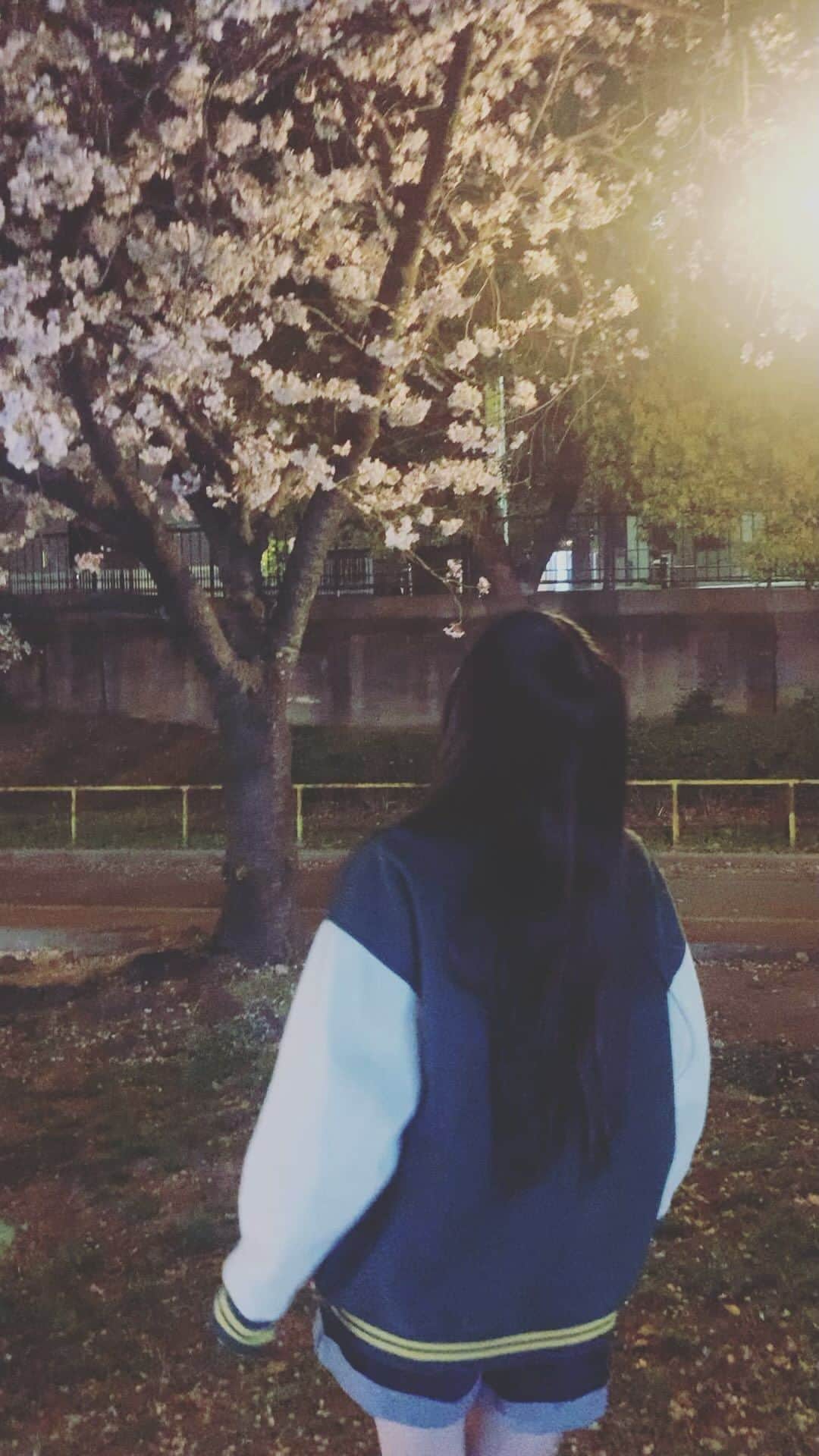 塩月希依音のインスタグラム：「さくらの季節が終わっちゃう前に、、✿」