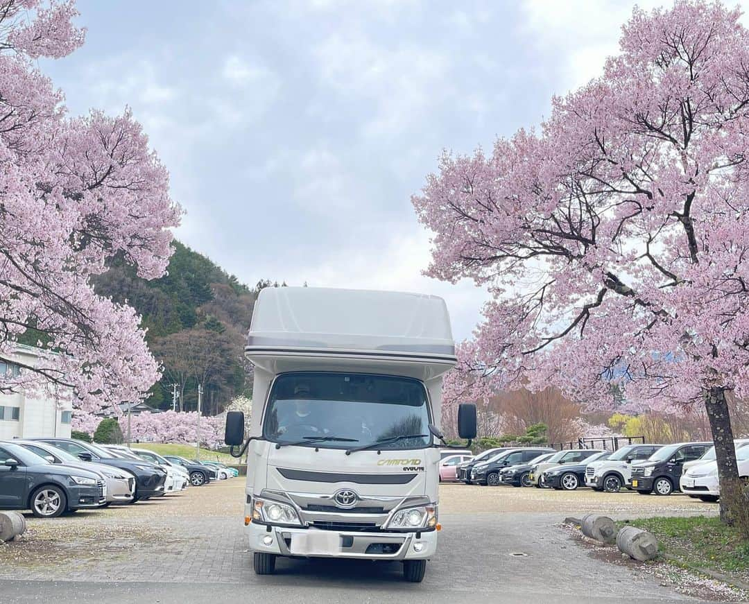 辻 よしなりさんのインスタグラム写真 - (辻 よしなりInstagram)「辻とキャンピングカーを取材してくださった車中泊専門誌「カーネル」さん、5月号が発売になっています。  夫婦して溺愛犬家😆であるためワンコファーストなキャンカーであることは間違いないです、はい😍 そもそもキャンピングカーとの出会いや、キャンピングカーをどう使い倒しているか等々、細かく聴いてくださいました。 大橋編集長、お世話になりました。ありがとうございます。 もしよかったら書店等で手に取って頂けると嬉しいです。  #キャンピングカー #車中泊 #ナッツ #クレソンジャーニータイプr  #RVパーク #rvパークみどりの村  #カーネル #辻よしなり」4月20日 21時55分 - yoshinari_tsuji