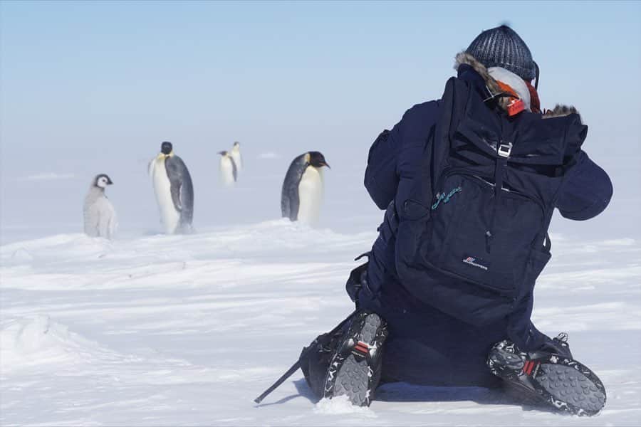 のインスタグラム：「#tbt Oh Antarctica 🇦🇶 you really did steal my heart. Just over a year ago my dream of going to Antarctica was realized. To say that landing at Wolf’s Fang runway was like landing on another planet, is an understatement! The landscape is surreal and the first icy breath of air you take burns the lungs, but somehow your body knows it’s getting some of the purest air on the planet. The trip was a blur and in hindsight actually feels like it was a dream. If it wasn’t for the beautiful photos and videos, I probably would think it was! What a stunning place, undisturbed by man’s destructive nature. It’s cathartic, soul rejuvenating and peaceful. A part of me never wanted to leave and a part of me remains there forever.  @davidyarrow thank you for making my dream a reality and @white.desert.antarctica thanks for running such a slick operation. Your staff are truly what sets you apart. A big thanks to @craghoppers for kitting me from head to toe and keeping me from freezing to death in those minus plenty degrees celcius. Your gear really did outperform my expectations.   #antarctica #antarctica21 #whitedesert #wolfsfang #mindfullymade #mycraghoppers #emperorpenguin #dreamsdocometrue」