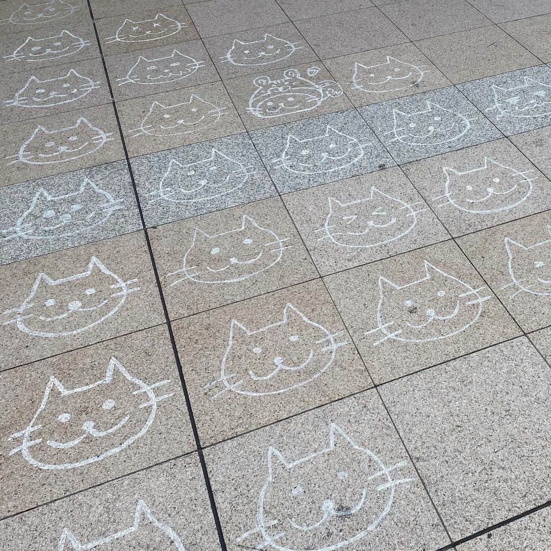 井上富美子さんのインスタグラム写真 - (井上富美子Instagram)「先日行った日暮里駅にて 可愛い猫たち発見🐱✨  調べてみたら にゃっぽりという キャラクターだそうで  この床は駅員さんたちの 手描きなんだとか  またゆっくり行きたい街です  #ねこ #猫 #日暮里駅 #にゃっぽり #繊維街 #楽しかった」4月20日 22時09分 - fumi_ino1222