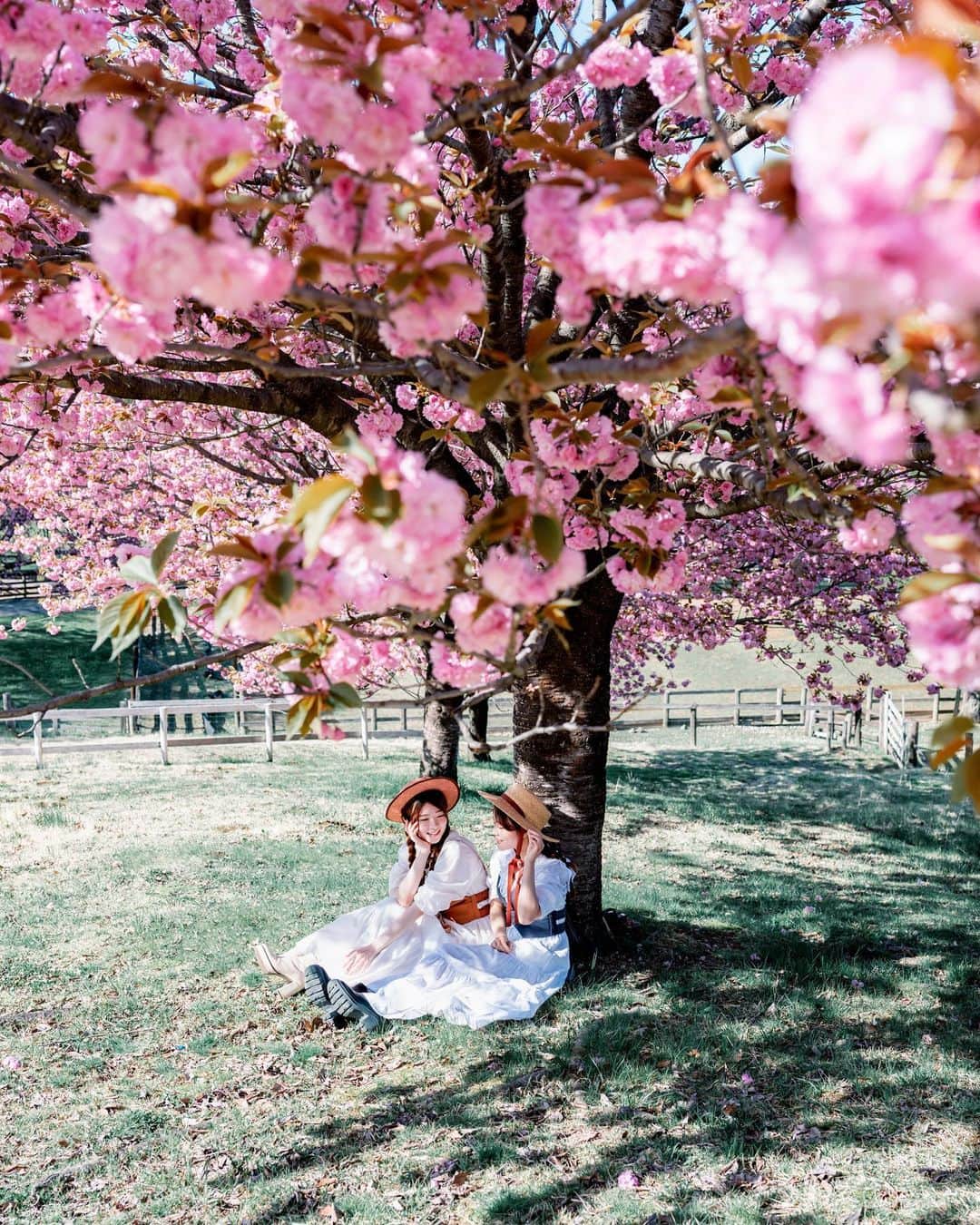 shabonのインスタグラム：「* . . . . . 珍しくのどか過ぎる1日🥰🌸笑 . 明日も埼玉は28℃らしい… 暑い🥵笑 . . model : @ayaketty1685  　　　　@asami_sw  . . FUJIFILM GFX50S II /  GF45mm F2.8 R WR . . お仕事・撮影のご依頼はDMかメールに お願い致します。 . . . . . *」