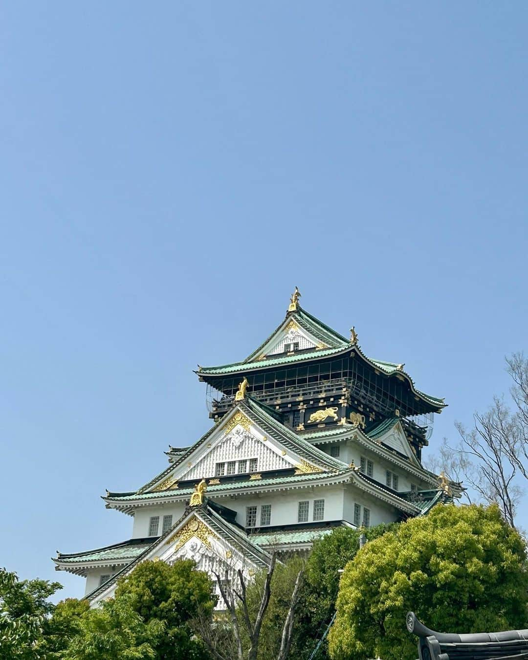 牧野誠三のインスタグラム：「青空が広がった日。大阪城天守閣からの眺望を楽しみにお上りさんしました。 大阪府警前で横断歩道をわたり、外国人旅行の人々を多く見かけました。明らかにコロナ明けを感じる景色、光景でした。 桜も終わり初夏の気温の中、ツツジの花が7分咲き。綺麗ですよ！ 今、「豊臣 大坂城史」が開催されています。天守閣に登ったのは人生2度目。 ytvから大阪城を観る🏯事はありましたが、大坂城天守閣からytv社屋を臨むのは初めて。 様々な豊臣の朱印状、黒印状に書かれた命が展示されたり、金箔の瓦なども‥‥。 飽きない資料館として、また行きたくなりました。 入場の際はチケット購入に並ぶ列が少々長いですが、事前の準備があればすんなりいけるようです。  #テーマ展豊臣大坂城史.  開催2023年5月7日(日)まで #場 所. 大阪城天守閣3・4階展示室.  #牧野誠三 #元ytvアナウンサー  #元ytv  #大阪城 #大坂城 #豊臣秀吉」