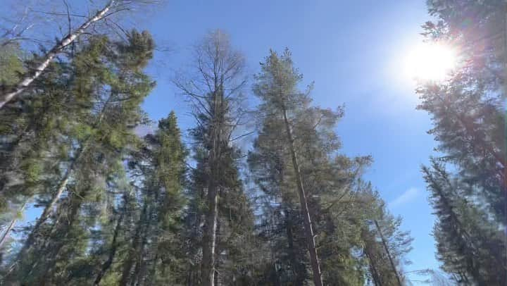 ルーベン・ブロマールトのインスタグラム：「Paradise ☀️  @camp__grinsby 🏕️🚐   #camping #campinglife #campingsweden #visitsweden #campgrinsby #quad #nature #woods」