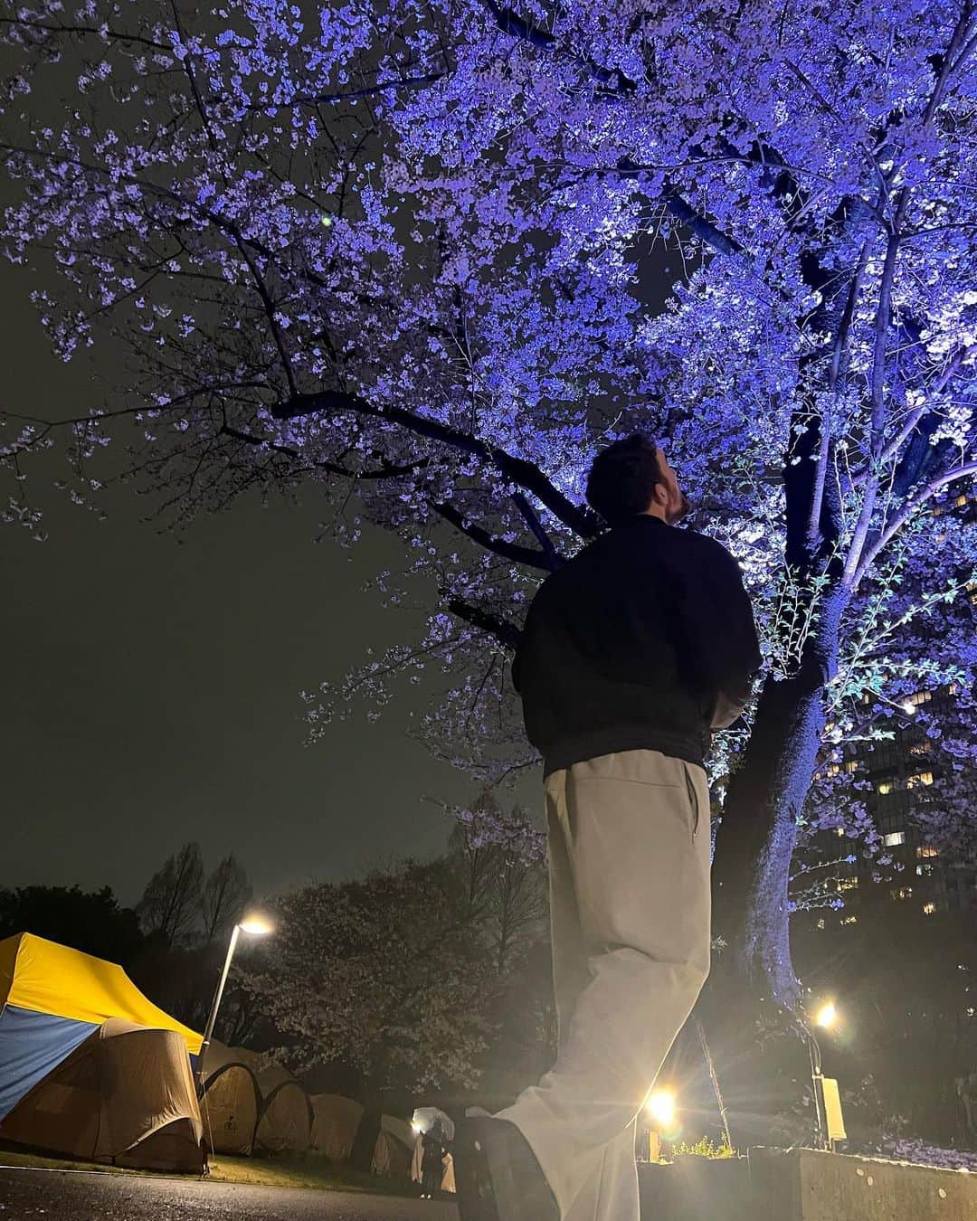 ザック・バランスキーさんのインスタグラム写真 - (ザック・バランスキーInstagram)「夜桜🌸💯 Only about a week or two of Cherry Blossoms a year is not enough🥲」4月20日 23時14分 - zackab10