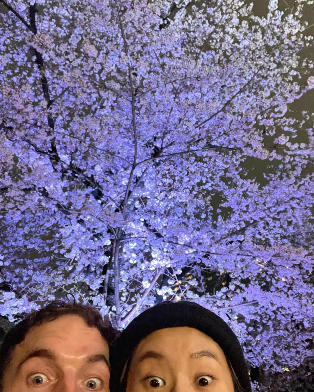 ザック・バランスキーのインスタグラム：「夜桜🌸💯 Only about a week or two of Cherry Blossoms a year is not enough🥲」