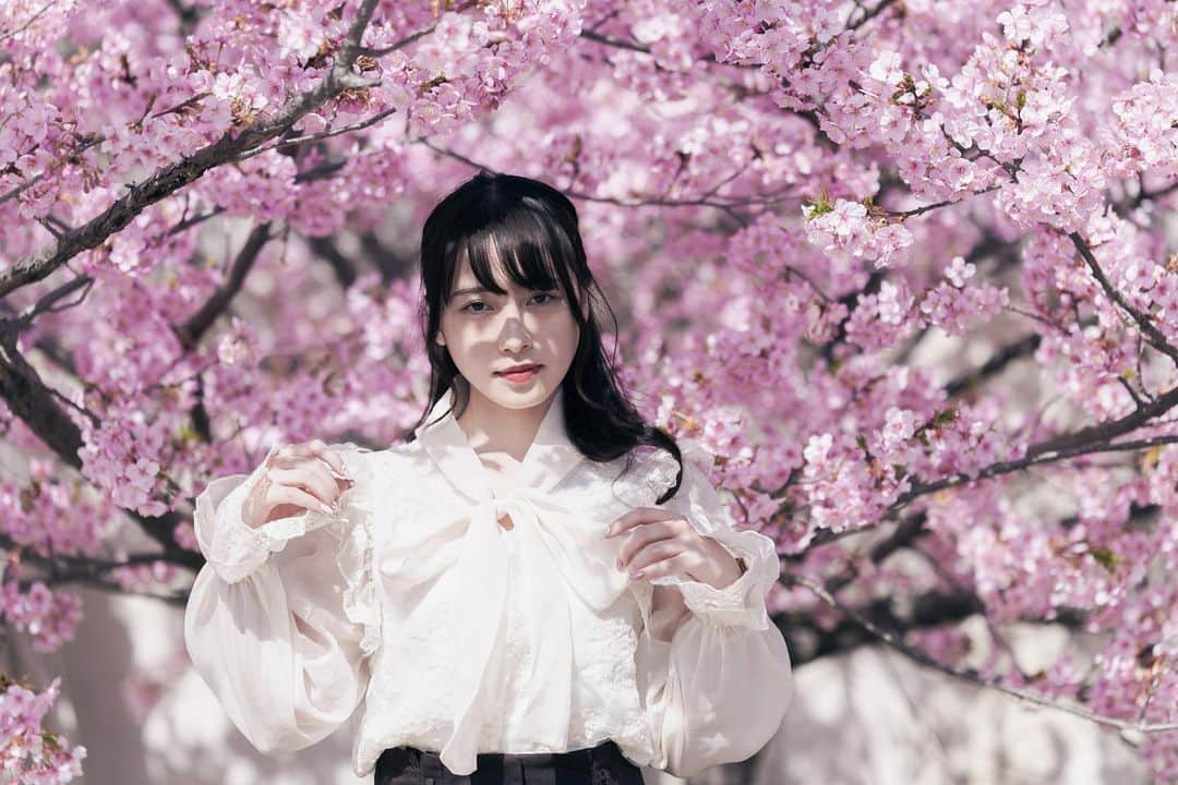 ぴよさんのインスタグラム写真 - (ぴよInstagram)「ようやく桜咲き始めて嬉しい🌸」4月20日 23時23分 - _piyogram_