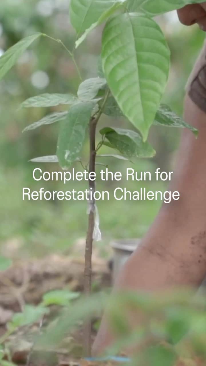 ASICS Americaのインスタグラム：「Help us plant 25,000 trees by completing the Run for Reforestation Challenge in the @asics Runkeeper app. Let’s reach A Sound Mind in A Sound Body by first creating a sound earth. Tap the link in our bio to join.」