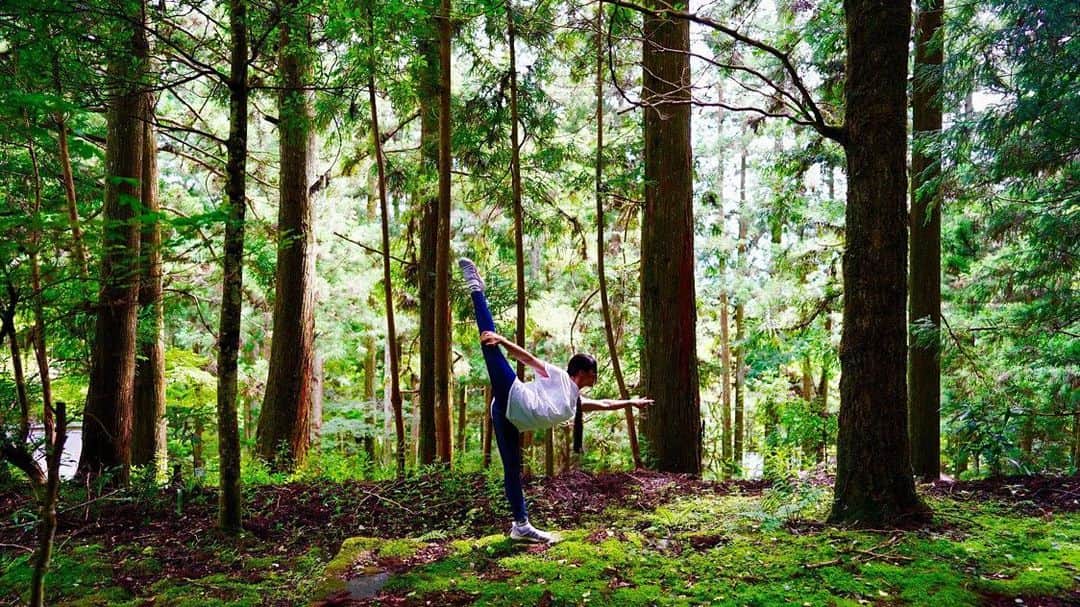 小林由佳さんのインスタグラム写真 - (小林由佳Instagram)「また素敵な写真撮ってもらいたいな… #xpjp #fhoto #📷 #自然」4月20日 23時33分 - ykp_qkb