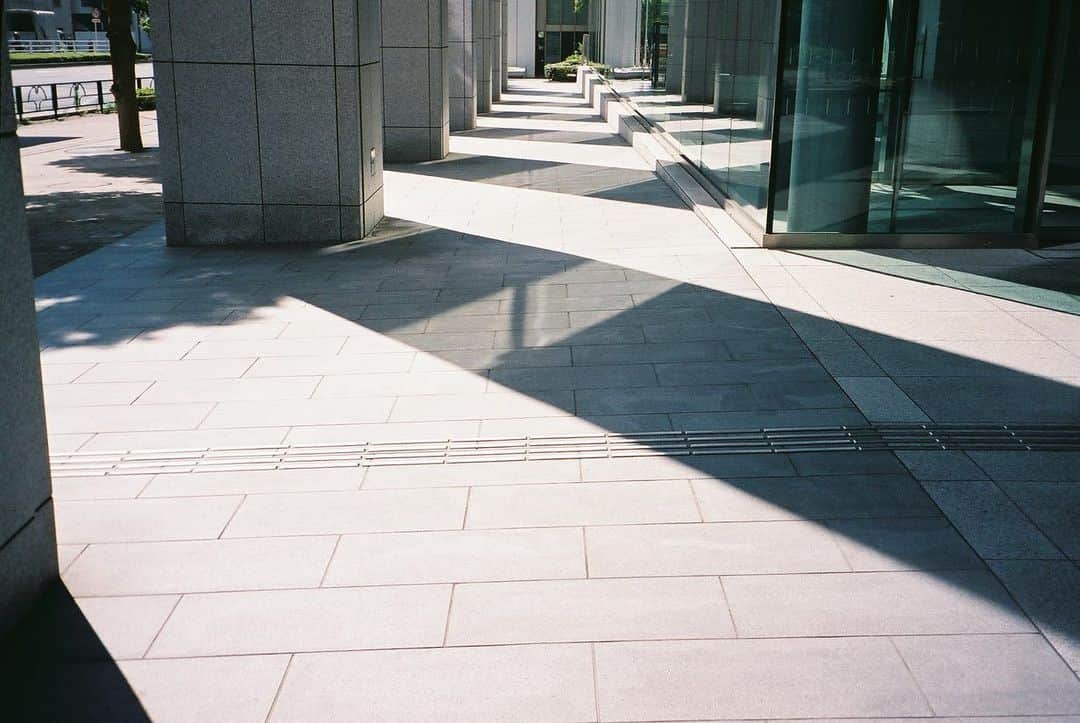 麻絵さんのインスタグラム写真 - (麻絵Instagram)「日向と日陰。  #麻絵カメラ #フィルムカメラ」4月20日 23時28分 - asaesan
