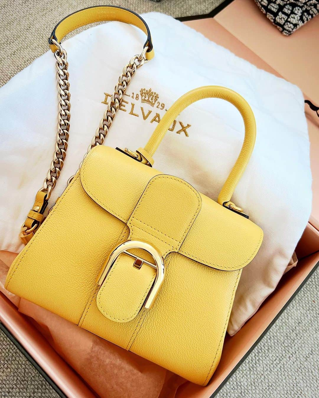 岡英里のインスタグラム：「先月ようやく #Delvaux デビューしたよん👜✨ 同じカラーの別売りストラップが可愛くて一緒にGET💋💕  最強開運日に巡り合ったのできっとラッキーバッグ🤞🌟  #BrillantMini #RodéoCalf #brillant #デルヴォー #デルヴォーブリヨン #デルヴォーバッグ  #デルヴォーミニ #ミニバッグ」