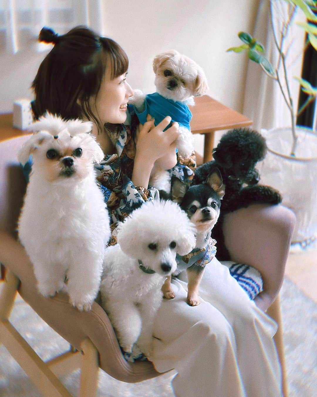 河内美里さんのインスタグラム写真 - (河内美里Instagram)「.  いぬまみれだった、とある週末🐾🐾🐾」4月21日 9時37分 - misato_kawauchi