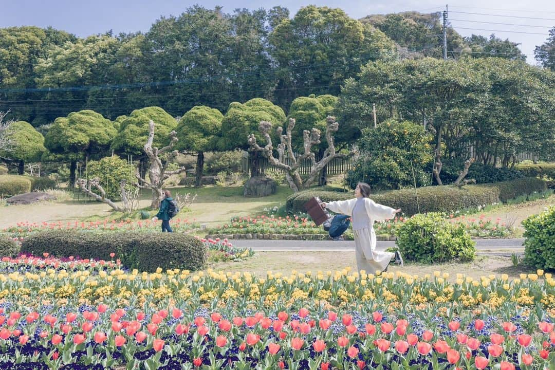 東京カメラガールズさんのインスタグラム写真 - (東京カメラガールズInstagram)「3/25(土) サポーターズメンバー @mikanironosekai さん企画のイベント『能古島で撮る菜の花とうさぎ』が福岡県のこのしまアイランドパークで開催されました。  一面に広がる菜の花畑は絶景スポット✨桜・菜の花・チューリップと見頃を迎えた花々がいっぱいで、お天気も良く撮影日和☀  海に向かって漕ぐブランコに乗ったり、ポートレートを取り合いっこしたり、とっても楽しそう！  「撮影用の小物も用意してくれていて、撮影がとっても楽しかったです。」 「初めてのイベント参加でドキドキしていたのですが、沢山のカメラ仲間と出会えて感謝です。@mikanironosekai さんの優しいお気遣いがとても嬉しかったです。」  と嬉しい声が沢山届いています。  全国各地で沢山のイベントを企画中！ ぜひプロフィール欄のcamell（カメル）公式WEBサイトからぜひチェックしてみてくださいね😊  初めての方も大歓迎✨ ご参加お待ちしております📷💕  _______________ ■camellとは？ 12,000人が参加するカメラ女子コミュニティカメラガールズが、 camell（カメル）になりました。 ＼メンバー大募集中／ @cameragirls_jp _______________ ■camelltownとは？ camellとしての活動をさらに楽しむための写真コミュニティ。 毎月10以上のイベントや、講座、コラボ企画などを実施中！ ＼第二期メンバー募集中／ @camelltown _______________ ■camellhouseとは？ @camellhouse camellが運営する写真のアトリエのようなおうち。camelltownメンバーになると、使い放題になります。1Fは店舗準備中！ 公式キャラクターまめるが住んでいます。 東京江東区亀戸5-24-24 JR総武線 亀戸駅から徒歩6分 . . /////////////////////////////////////////// ▼ご興味があれば camell(カメル)WEBサイトから無料登録をお願いします😊  #camell #カメル #camelltown #camellhouse #まめる #🐻 #camell会報誌 #サポーターズレポート #福岡県 #のこのしまアイランドパーク  #菜の花 #桜 #チューリップ」4月21日 9時43分 - tokyocameragirls