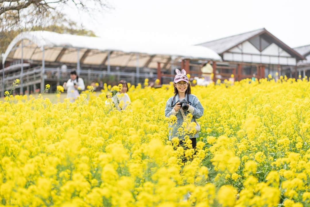 東京カメラガールズさんのインスタグラム写真 - (東京カメラガールズInstagram)「3/25(土) サポーターズメンバー @mikanironosekai さん企画のイベント『能古島で撮る菜の花とうさぎ』が福岡県のこのしまアイランドパークで開催されました。  一面に広がる菜の花畑は絶景スポット✨桜・菜の花・チューリップと見頃を迎えた花々がいっぱいで、お天気も良く撮影日和☀  海に向かって漕ぐブランコに乗ったり、ポートレートを取り合いっこしたり、とっても楽しそう！  「撮影用の小物も用意してくれていて、撮影がとっても楽しかったです。」 「初めてのイベント参加でドキドキしていたのですが、沢山のカメラ仲間と出会えて感謝です。@mikanironosekai さんの優しいお気遣いがとても嬉しかったです。」  と嬉しい声が沢山届いています。  全国各地で沢山のイベントを企画中！ ぜひプロフィール欄のcamell（カメル）公式WEBサイトからぜひチェックしてみてくださいね😊  初めての方も大歓迎✨ ご参加お待ちしております📷💕  _______________ ■camellとは？ 12,000人が参加するカメラ女子コミュニティカメラガールズが、 camell（カメル）になりました。 ＼メンバー大募集中／ @cameragirls_jp _______________ ■camelltownとは？ camellとしての活動をさらに楽しむための写真コミュニティ。 毎月10以上のイベントや、講座、コラボ企画などを実施中！ ＼第二期メンバー募集中／ @camelltown _______________ ■camellhouseとは？ @camellhouse camellが運営する写真のアトリエのようなおうち。camelltownメンバーになると、使い放題になります。1Fは店舗準備中！ 公式キャラクターまめるが住んでいます。 東京江東区亀戸5-24-24 JR総武線 亀戸駅から徒歩6分 . . /////////////////////////////////////////// ▼ご興味があれば camell(カメル)WEBサイトから無料登録をお願いします😊  #camell #カメル #camelltown #camellhouse #まめる #🐻 #camell会報誌 #サポーターズレポート #福岡県 #のこのしまアイランドパーク  #菜の花 #桜 #チューリップ」4月21日 9時43分 - tokyocameragirls