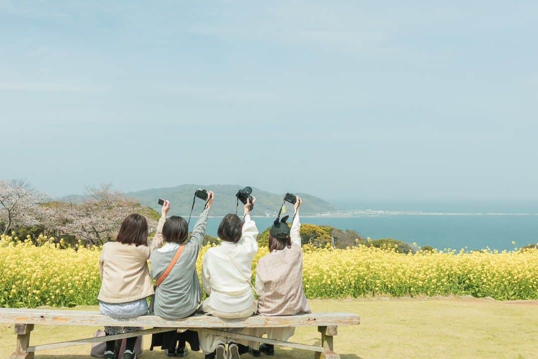 東京カメラガールズのインスタグラム：「3/25(土) サポーターズメンバー @mikanironosekai さん企画のイベント『能古島で撮る菜の花とうさぎ』が福岡県のこのしまアイランドパークで開催されました。  一面に広がる菜の花畑は絶景スポット✨桜・菜の花・チューリップと見頃を迎えた花々がいっぱいで、お天気も良く撮影日和☀  海に向かって漕ぐブランコに乗ったり、ポートレートを取り合いっこしたり、とっても楽しそう！  「撮影用の小物も用意してくれていて、撮影がとっても楽しかったです。」 「初めてのイベント参加でドキドキしていたのですが、沢山のカメラ仲間と出会えて感謝です。@mikanironosekai さんの優しいお気遣いがとても嬉しかったです。」  と嬉しい声が沢山届いています。  全国各地で沢山のイベントを企画中！ ぜひプロフィール欄のcamell（カメル）公式WEBサイトからぜひチェックしてみてくださいね😊  初めての方も大歓迎✨ ご参加お待ちしております📷💕  _______________ ■camellとは？ 12,000人が参加するカメラ女子コミュニティカメラガールズが、 camell（カメル）になりました。 ＼メンバー大募集中／ @cameragirls_jp _______________ ■camelltownとは？ camellとしての活動をさらに楽しむための写真コミュニティ。 毎月10以上のイベントや、講座、コラボ企画などを実施中！ ＼第二期メンバー募集中／ @camelltown _______________ ■camellhouseとは？ @camellhouse camellが運営する写真のアトリエのようなおうち。camelltownメンバーになると、使い放題になります。1Fは店舗準備中！ 公式キャラクターまめるが住んでいます。 東京江東区亀戸5-24-24 JR総武線 亀戸駅から徒歩6分 . . /////////////////////////////////////////// ▼ご興味があれば camell(カメル)WEBサイトから無料登録をお願いします😊  #camell #カメル #camelltown #camellhouse #まめる #🐻 #camell会報誌 #サポーターズレポート #福岡県 #のこのしまアイランドパーク  #菜の花 #桜 #チューリップ」