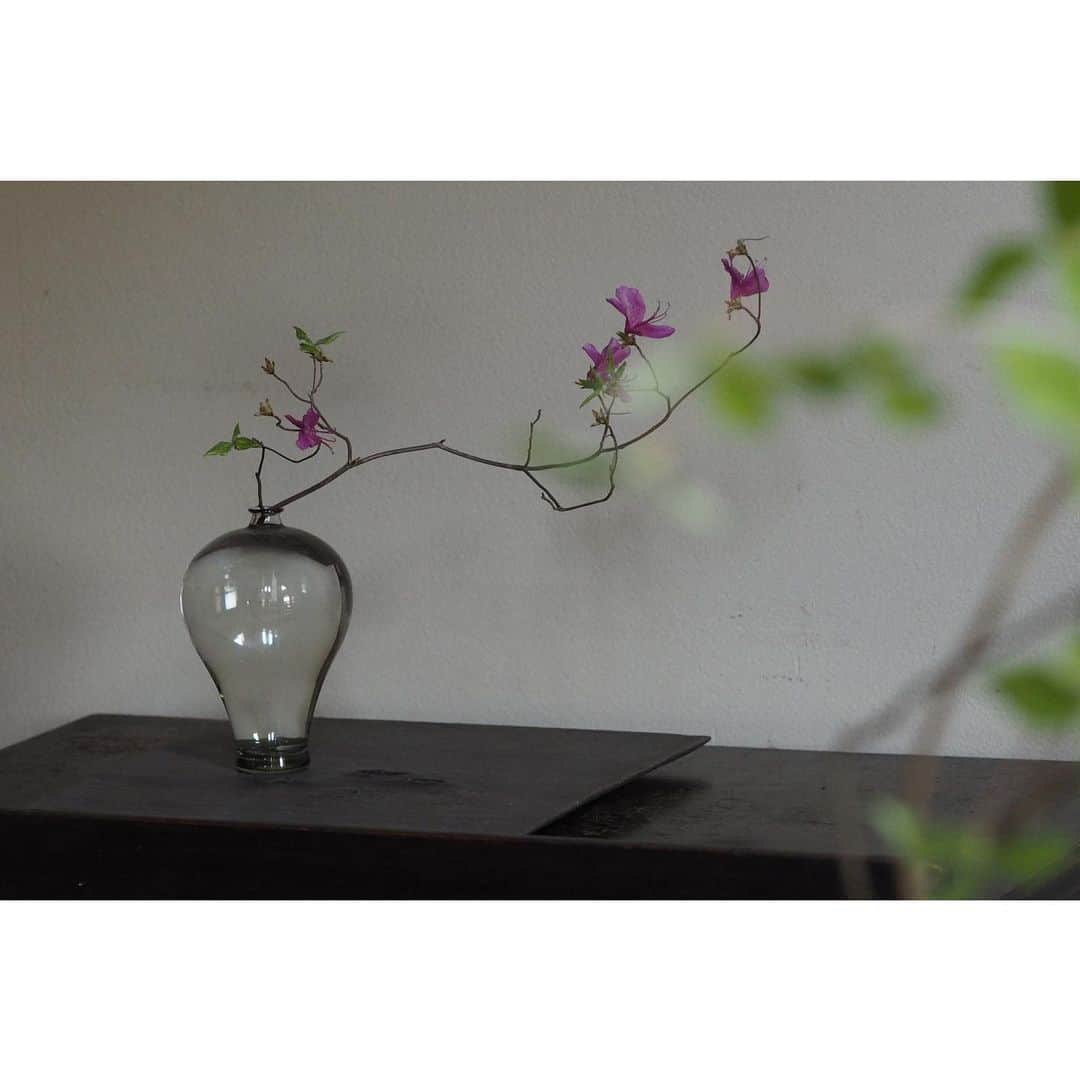 のインスタグラム：「花のうつわ展　　—　穀雨の頃に　ー 開催中！　　 本日も11時よりお待ちしています。  春の名残から　初夏のはしりへと交じりあう４月　 一年をかけて命をつないだ　この季の瑞々しい姿をうつわへ 　 出展作家 伊藤　  環 [陶器] 高橋 亜希子 [陶器] 竹内  紘三 [陶器] 崔　  在皓 [白磁] 津田  清和 [硝子]  挿花  月草 にしやまゆいこ  会期中の営業日は 4/21.22.27.28.29 5/4.5.6   #津田清和 #瓶子」