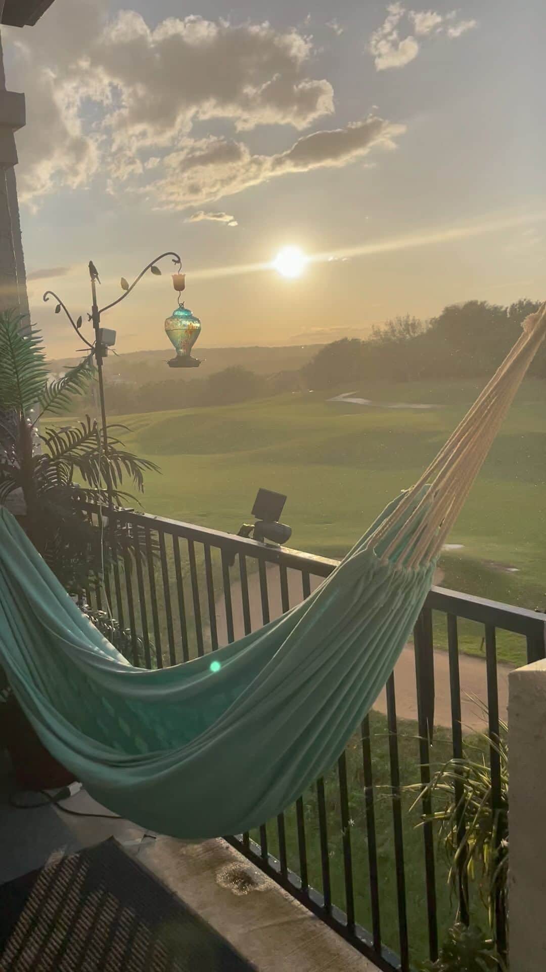 sevimli_hayvanlar34のインスタグラム：「I knew there had to be a #rainbow somewhere #stoneoak #sanantonio #texas」
