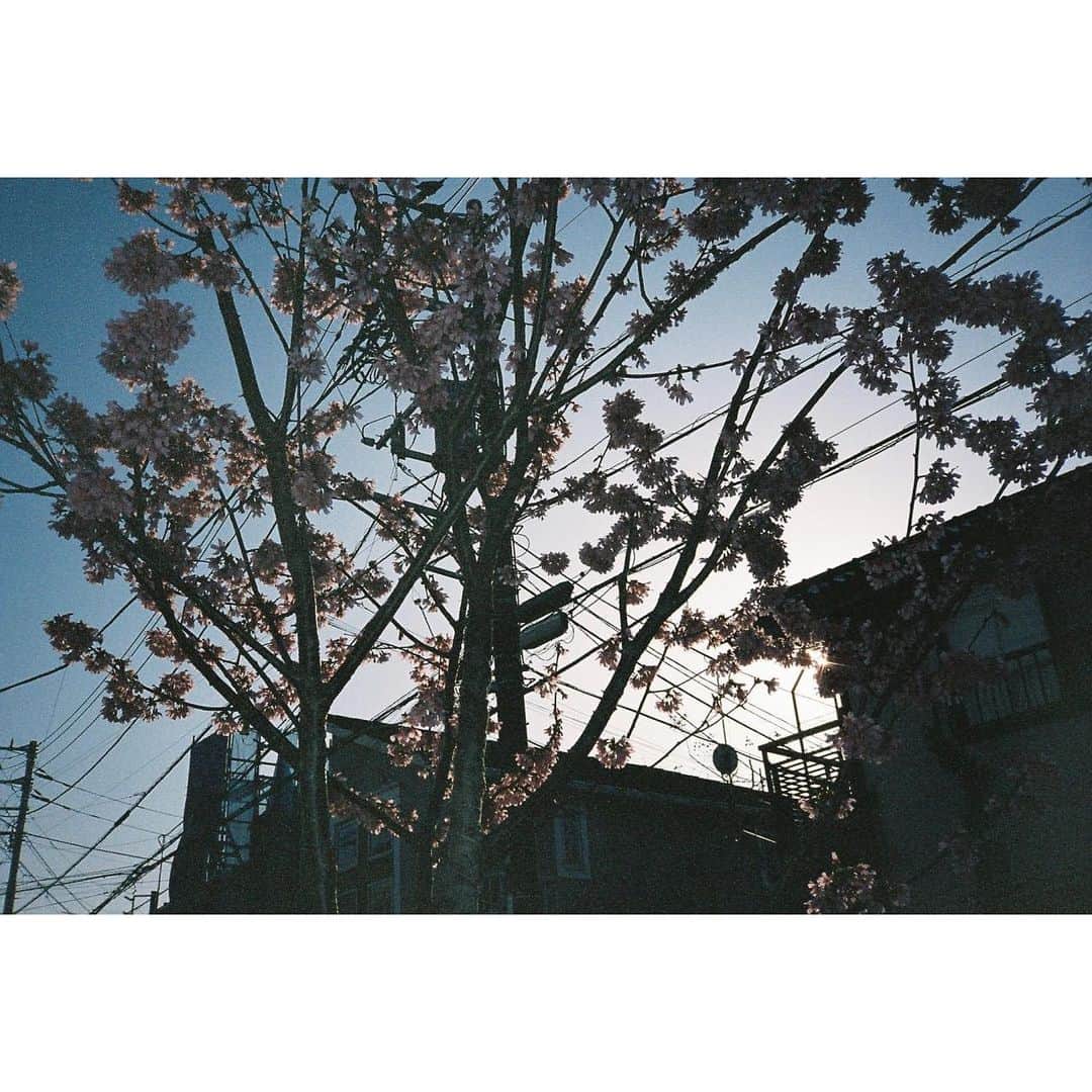 藤井武美さんのインスタグラム写真 - (藤井武美Instagram)「大きく深呼吸！ ハレルヤ！」4月21日 10時47分 - takemi_fujii