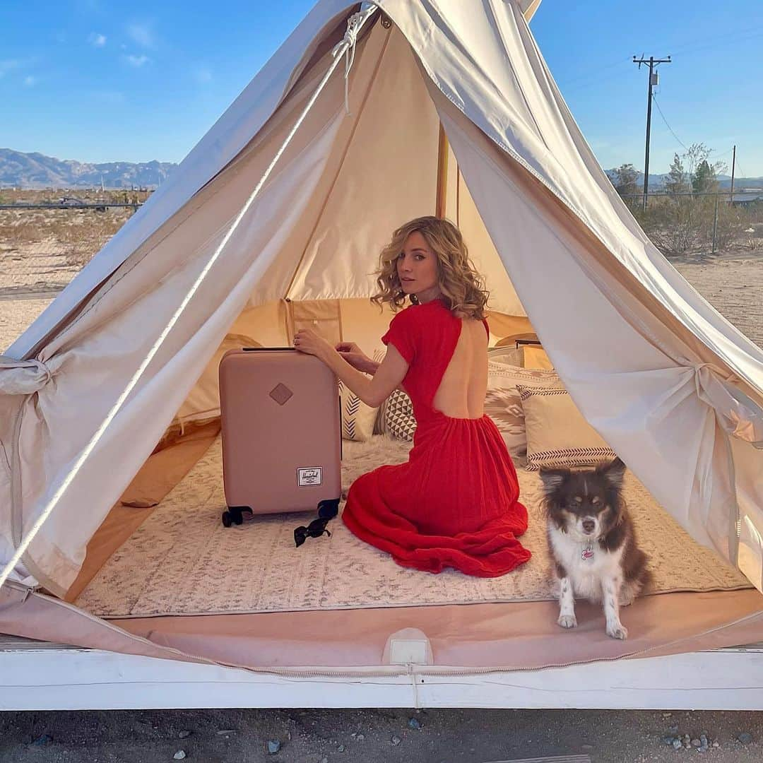 ブルック・バトラーのインスタグラム：「My essentials: Georgie pup and my @herschelsupply luggage 🤍」