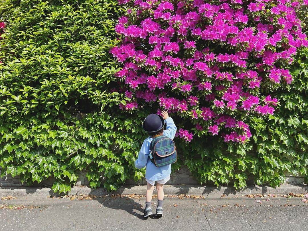 高見まなみさんのインスタグラム写真 - (高見まなみInstagram)「バス好きと、お弁当好きが高じて、幼稚園がたのしいたいちゃん。初日からバスに乗ったらニッコニコ。昨日はお弁当初日で、幼稚園に着いてからずっとお弁当食べたいと言っていたようで、ぴっかぴかに食べてきてくれました。#3歳9ヶ月」4月21日 11時00分 - manami_takami