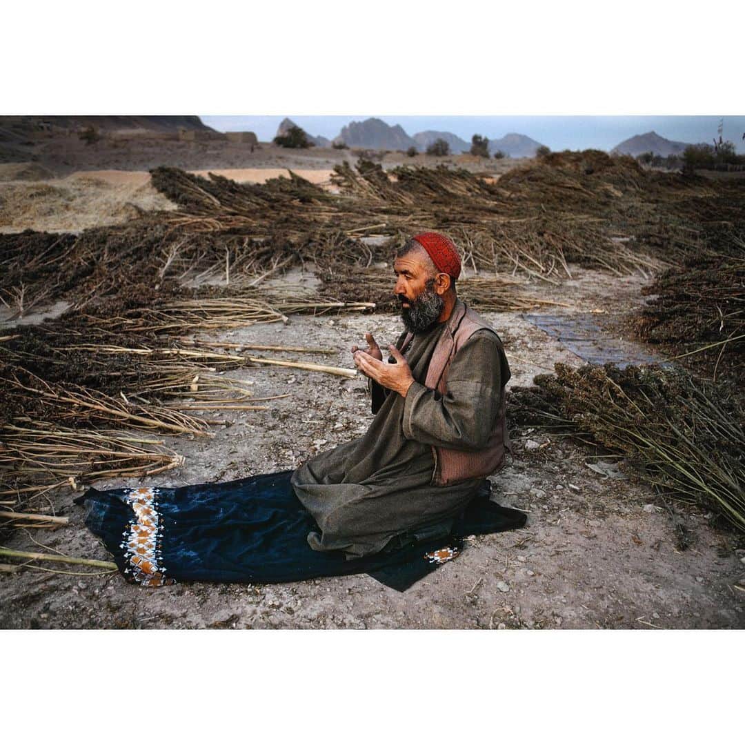 スティーブ・マカリーのインスタグラム：「Afghan man prays at sunset after harvesting a field of Marijuana. Kandahar, Afghanistan, 1992.  #Happy420」
