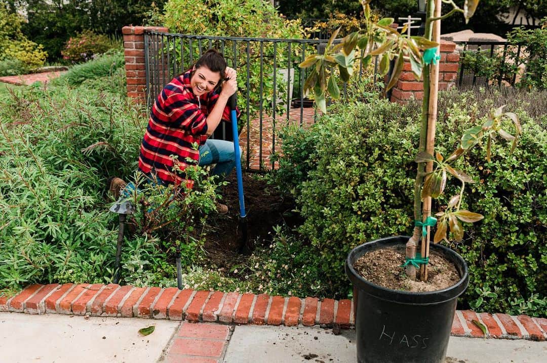 ティファニー・ティーセンのインスタグラム：「Gardening is a passion of mine, but like everyone, there's always more to learn, and I'll happily get advice from @Loweshomeimprovement to help my garden grow. #AD  With the help of Lowe’s and their red vest associate Pati, my avocado trees are well on their way to blooming to their full potential this season. What gardening projects are you taking on this spring? #LowesPartner #LowesGoals」