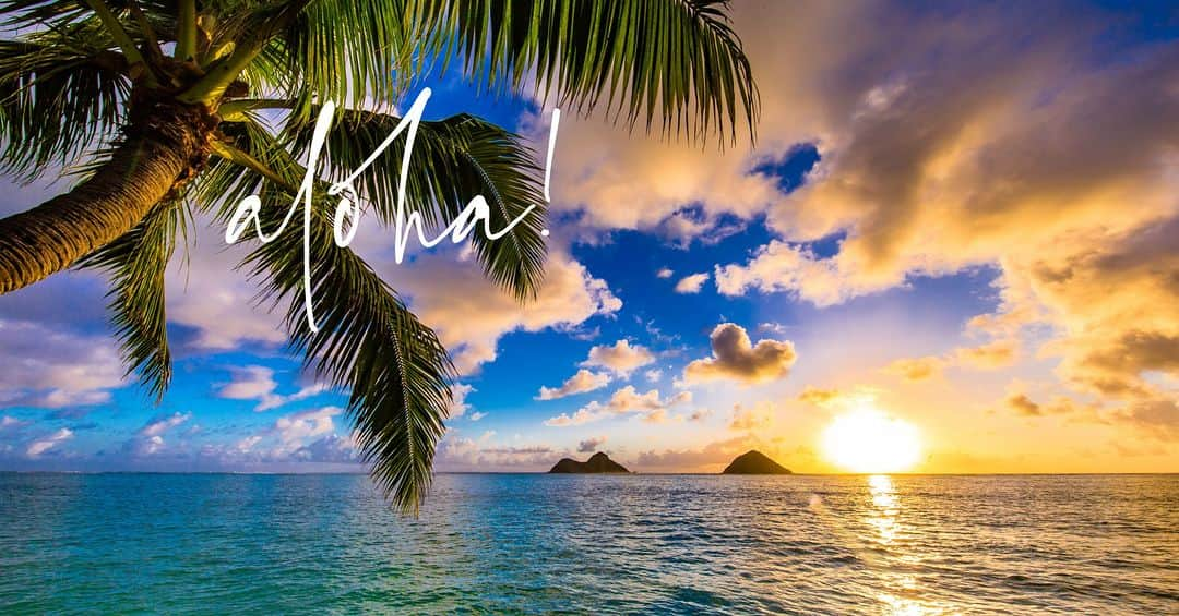 Lanikai Bath and Bodyさんのインスタグラム写真 - (Lanikai Bath and BodyInstagram)「Aloha from Kailua! Get ready for the weekend and our WE LOVE KAILUA sale starting tomorrow! Shop in-store or online for amazing deals that you don't want to miss. But that's not all, mark your calendars for Sunday's Town Party - the Annual I Love Kailua event. Celebrate our beautiful town with great food, music, and fun. See you there! 🌺🌴 #Kailua #WeLoveKailua #TownParty #ILoveKailua #Hawaii #Sale #WeekendVibes」4月21日 4時00分 - lanikaibathandbody