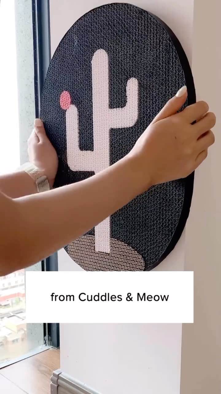 Cute Pets Dogs Catsのインスタグラム
