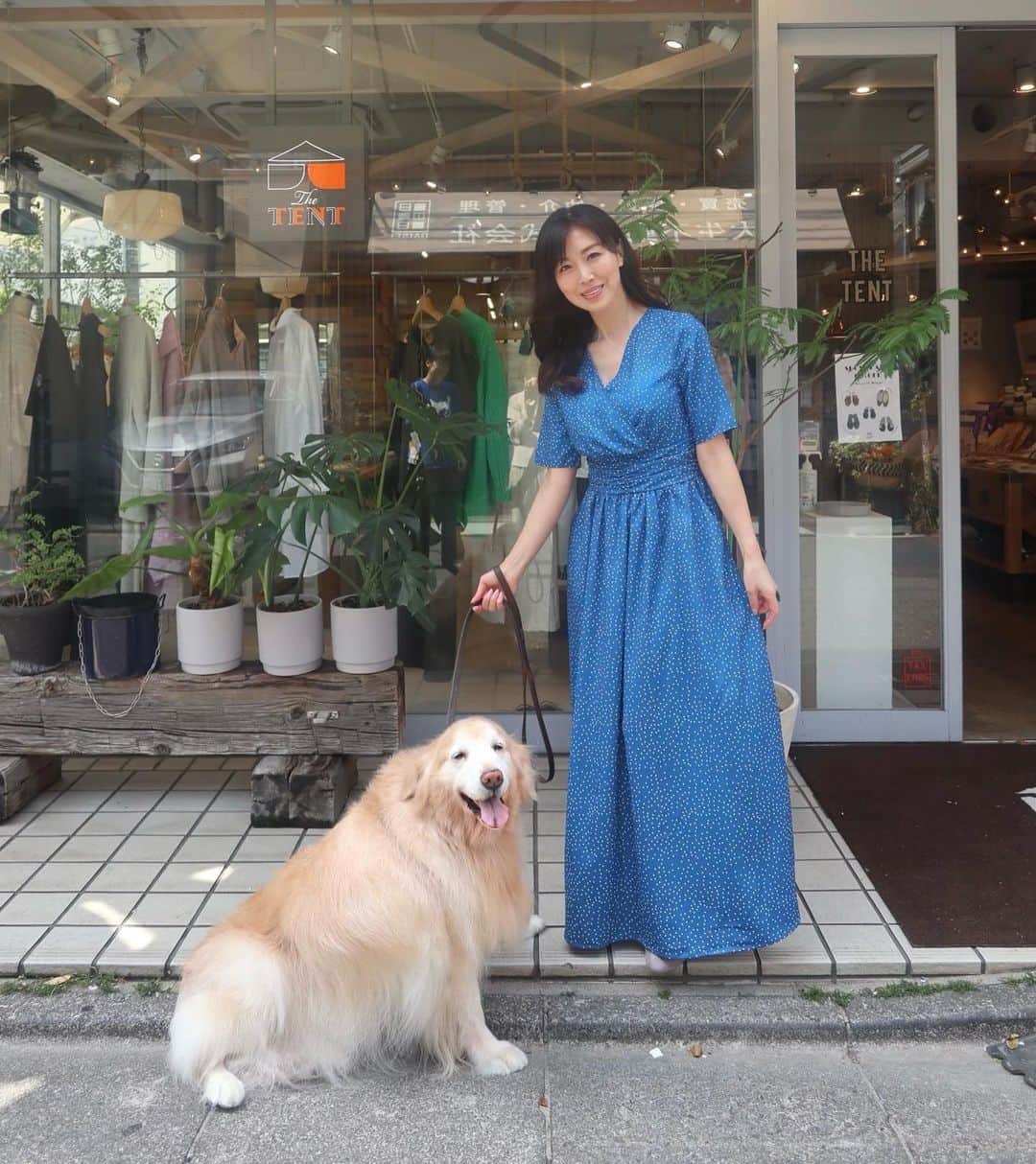 ImotoEtsuyo さんのインスタグラム写真 - (ImotoEtsuyo Instagram)「愛犬ココアの #シャンプートリミング　へ ・ 迎えに行くと 「クーンクーンクン🤍」 と嬉しそうに見つめてくれます。 ・ 可愛すぎて いつも抱きついています。  着ているワンピースは　 @shein_japan  @sheinofficial のもの。  鮮やかなブルー 白のドットが可愛い。 丈は長めです。  EMERY ROSE  水玉模様プリント サプリスネック  隠しポケット ドレス  サイズはS 検索番号は　13306174  お買い上げ金額1～5,999円までは セール価格より15%OFF、 6,000円以上は20%OFFが適用される クーポンがあります。  クーポン期限は〜6月末日  割引クーポン番号：bisuhada ・ ・ #SHEIN #SHEINforAll #ad #fashion  #ドレス #dress  #ワンピース #コーデ  #きれいめコーデ  #美シルエット  #ゴールデンレトリバー  #goldenretriever  #大型犬のいる生活  #シニア犬」4月21日 6時52分 - bisuhada