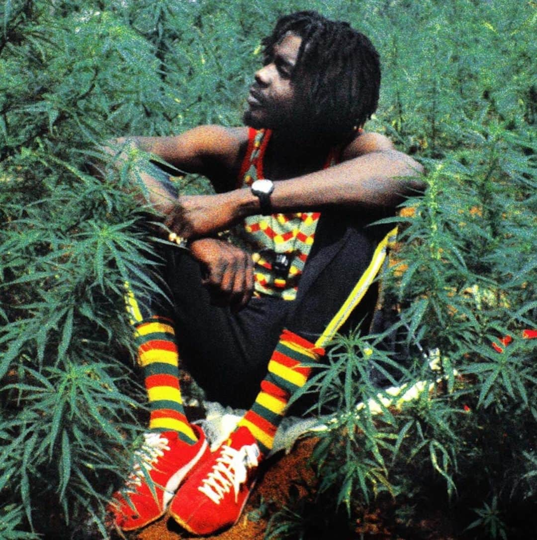 ティファニー・キャデラックさんのインスタグラム写真 - (ティファニー・キャデラックInstagram)「Blessed International Peter Tosh Day aka 420!  The maestro, the rebel, the bush doctor, the stepping razor, the revolutionary lives forever!💚💛❤️  The first most important agricultural plant “the sativa” which were researched by countries like the U.S. Canada and Israel for medicinal purposes that treated/cured illnesses like cancer, psychosis, glaucoma, Alzheimer’s, to name a few, came from the island of Jamaica🇯🇲 The same plant that were used to persecute innocent people, including Tosh.  Peter Tosh's Album "LEGALIZE IT" was a big hit in Jamaica in the 70's, but the title track to the album "Legalize it" was banned from radio broadcast due to the laws on Marijuana in Jamaica at the time.  However this did not stop the people from loving this freedom anthem, chanting it on the street corner and blasting it at sound systems🔊  So let us never forget and honor the legend who fought for this spiritual plant that naturally grew out of this wonderful place called Mother Earth✨    #CB1 #CB2 #CBN #CBD #THC #Sensi #SpliffTale #Kali #HerbsForTheHealingOfTheNation」4月21日 7時05分 - fruitimami