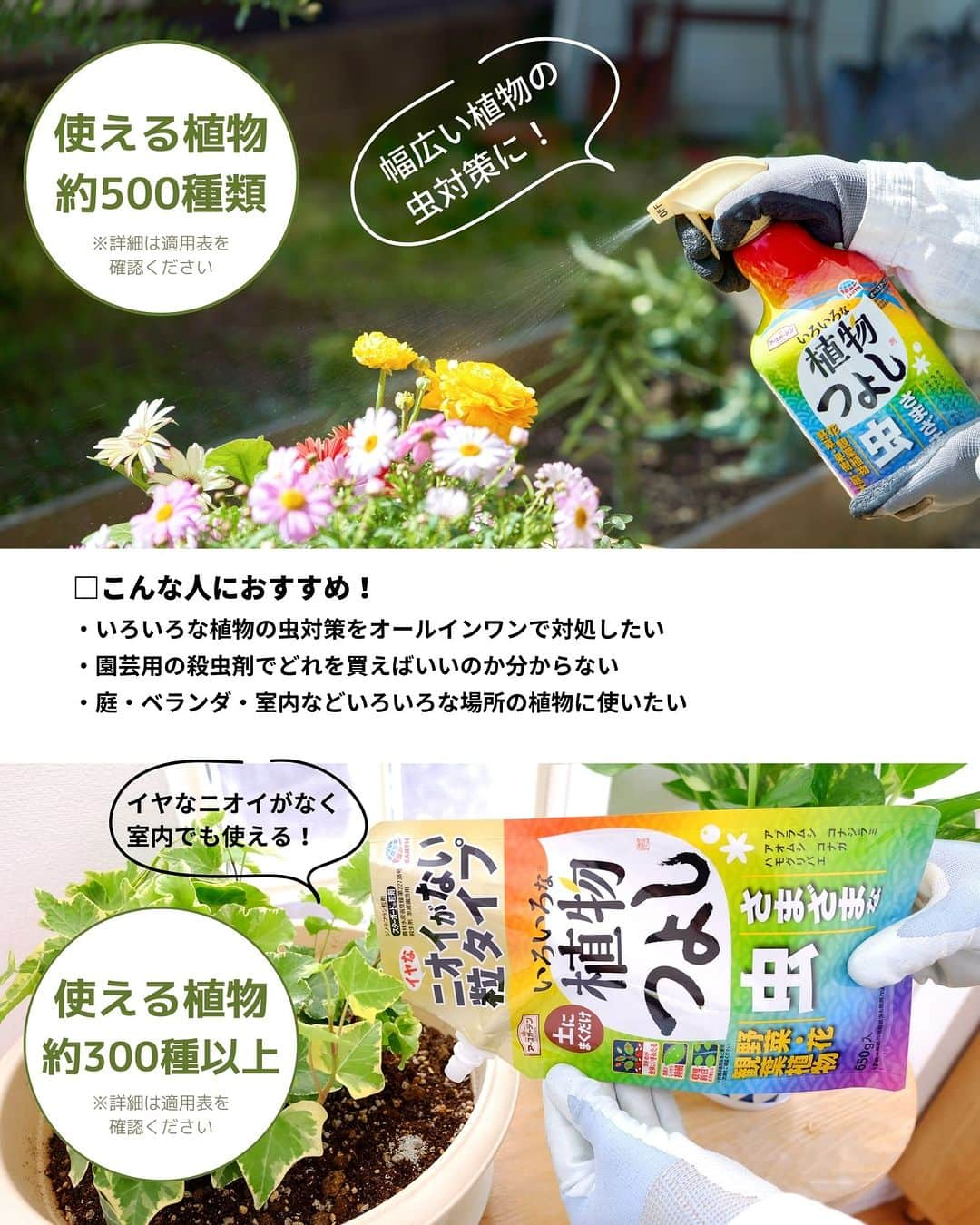 LOVEGREEN -植物と暮らしを豊かに。さんのインスタグラム写真 - (LOVEGREEN -植物と暮らしを豊かに。Instagram)「🌿モニター募集のお知らせ🌿  植物につく虫の対策で、 「お花や家庭菜園、観葉植物などいろいろ育てているけど、どの植物も同じ殺虫剤でいいの？😕」 と思う方も多いのではないでしょうか？  そんな時は「いろいろな植物つよし」がおすすめ！  スプレータイプは約500種類、粒タイプは約300種類以上の植物に使え、虫の予防・駆除をしてくれます。  今回LOVEGREENユーザー限定で「いろいろな植物つよし」（スプレータイプ・粒タイプのセット）のモニターを募集します！  「いろんな植物の虫対策を1アイテムで対応したい！」という人はぜひお試しください☘  ＝＝＝＝＝＝＝＝＝＝＝＝＝＝＝＝＝＝＝＝＝＝＝＝  ≪応募期間≫ 2023.4.21（金）～4.27（木）  ≪応募条件≫ ・花、野菜、庭木、観葉植物などいろいろな植物の虫対策をしたい方 ・モニター商品の使用体験をインスタグラムのフィード・ストーリーズ・リール動画などで投稿いただける方 　※5月～6月にかけて商品使用の様子やその後の経緯等の投稿をお願いする予定です。 　 ・以下ハッシュタグ／メンションをつけていただける方 　↓ #いろいろな植物つよし @lovegreen_official  ※投稿写真は、LOVEGREEN記事／公式SNSで使用させていただくことがあります。  ≪応募方法≫ ①本アカウントをフォロー ②コメント欄に一言で応募完了！  ≪当選人数≫ 17名様  ≪選考≫ 社内選考の上、インスタグラムのDMにてご連絡させてい ただきます。  ＝＝＝＝＝＝＝＝＝＝＝＝＝＝＝＝＝＝＝＝＝＝＝＝  LOVEGREENでは今後も、さまざまな園芸の新アイテムや、植物のモニター企画を実施しています🎉  #いろいろな植物つよし #アースガーデン #植物のある暮らし #庭のある暮らし　#虫対策　#植物の虫対策　#モニター募集 #モニター募集中」4月21日 7時10分 - lovegreen_official