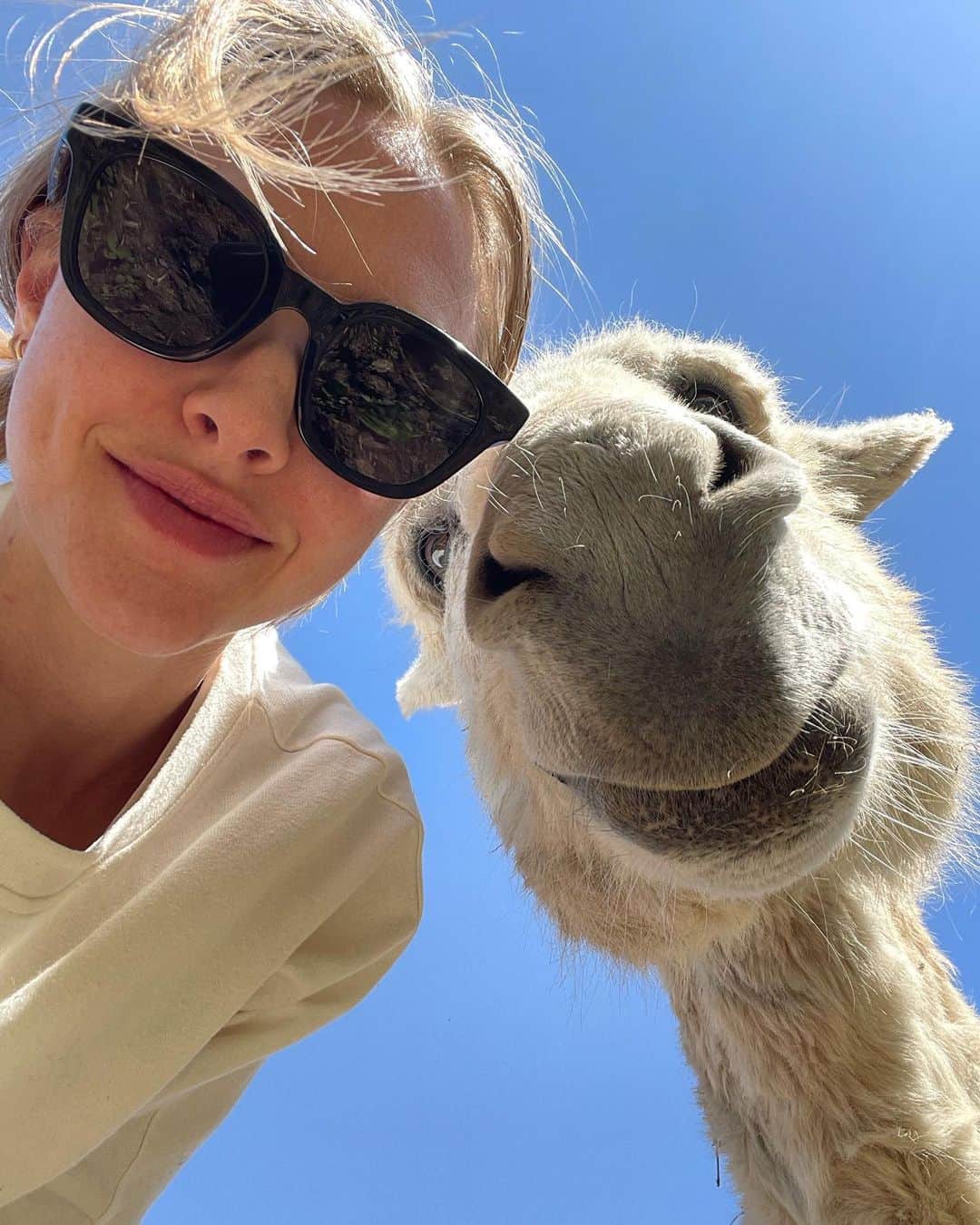 アマンダ・サイフリッドのインスタグラム：「Triptych 💞」
