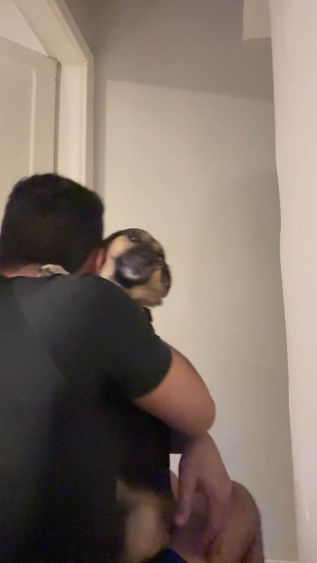 のインスタグラム：「Quem acompanhou nos stories de hoje viu que ficamos fora o dia todo, Maria ficou em casa, e assim foi quando voltamos 😍  #love #cute #lovedogs #viralatinhasdoinstagram」