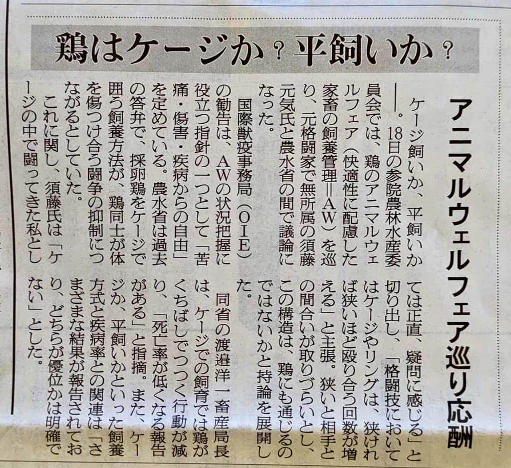 須藤元気さんのインスタグラム写真 - (須藤元気Instagram)「僕の質疑を取り上げて頂きました。ケージ(金網)の中で戦ってきた身として、鶏たちをケージから解放して平飼いが主流になるようにしていきたいです。#農林水産委員会 #日本農業新聞」4月21日 9時27分 - sudogenki