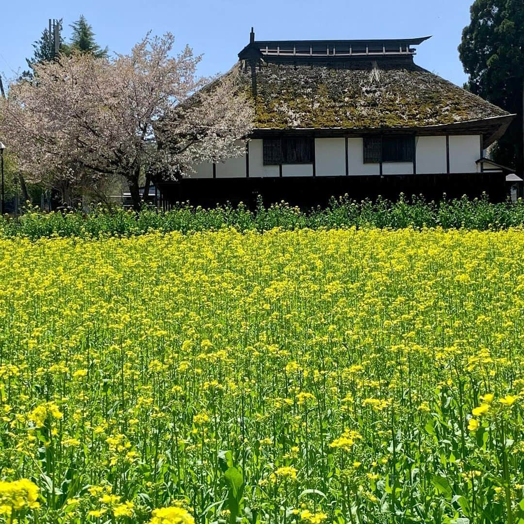 野沢温泉　村のホテル　住吉屋のインスタグラム