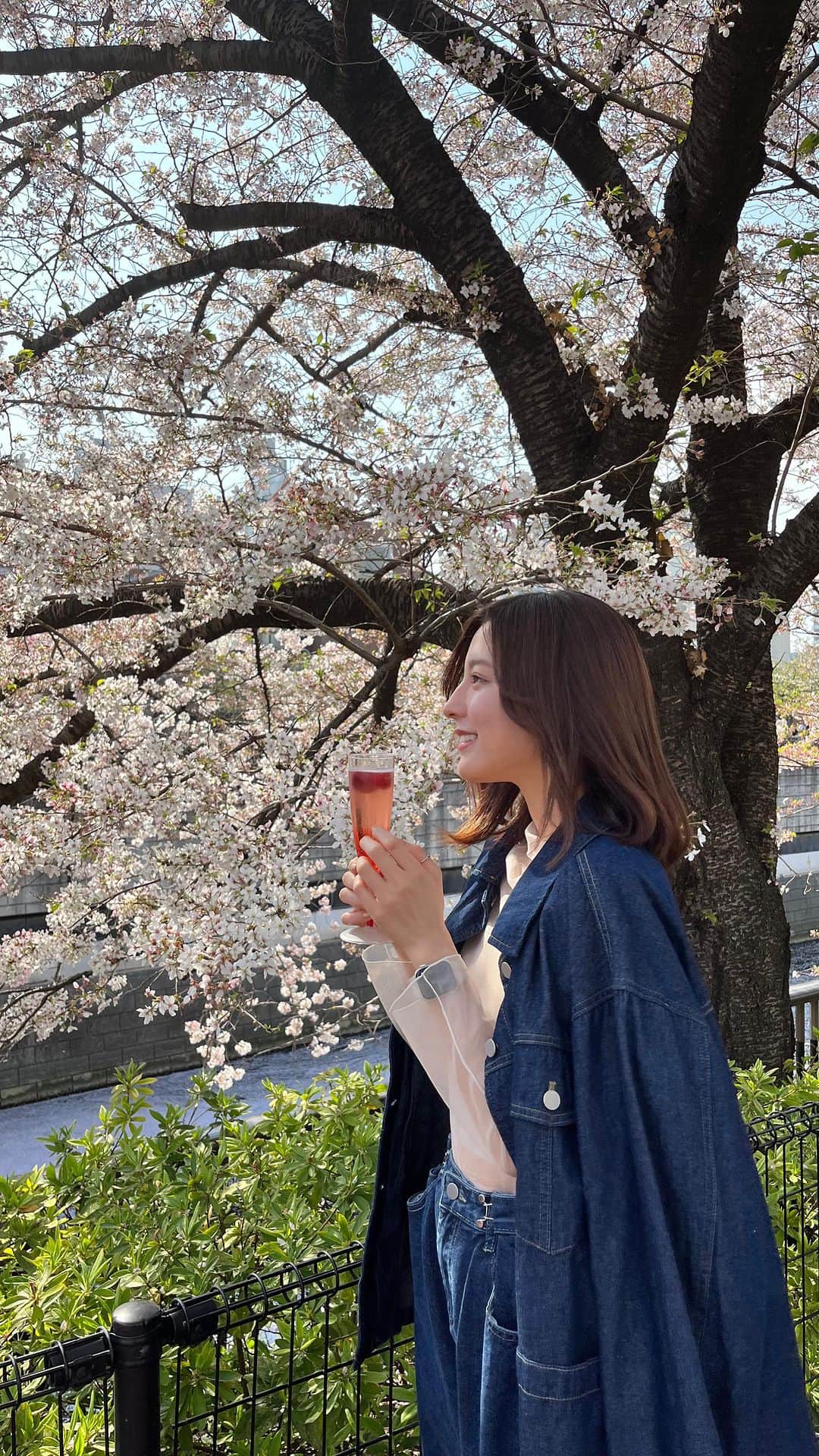 早川聖来のインスタグラム：「🌸🍓  初夏の香りがする頃に遅れて投稿します。初リール！ 結構難しかったです…  春から上京してきたお友達と東京で桜を観に行きました。 高校の思い出話から新生活のお話まで、とっても楽しかったです。  また来年も素敵な桜が咲きますように🌸  #乃木坂46 #早川聖来 #seiragram  #目黒川 #桜  🎼 #春のメロディー」