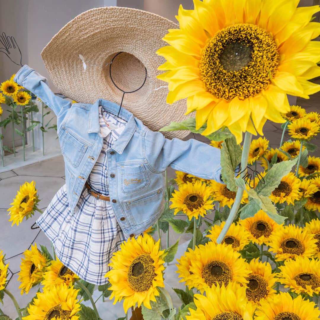 bonpointさんのインスタグラム写真 - (bonpointInstagram)「Bonpoint SS23 | A thousand suns. 🌻​ Come by your nearest boutique to walk through our sunflowers field! ​ A unique experience to discover the inspiration behind our collection. ​  Share your pictures with us! ​  #Bonpoint #BonpointBoutique」4月21日 19時02分 - bonpoint