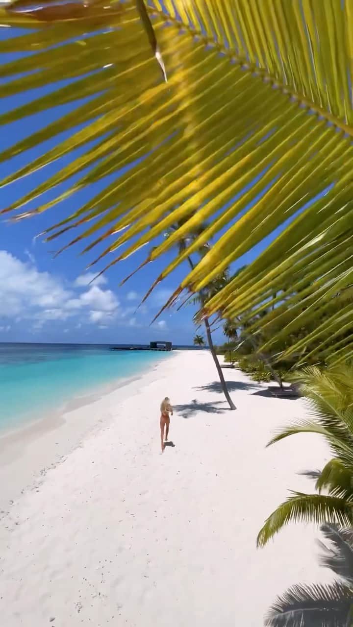 のインスタグラム：「Maldives, where pure bliss awaits you at every turn.  Contact us to start planning your Maldives getaway  @nichegetaways   📧 hello@nichegetaways.com 📞 +960 760 5656 (WhatsApp/Viber) 🌐 www.nichegetaways.com  🎥 @sydneyandavis」