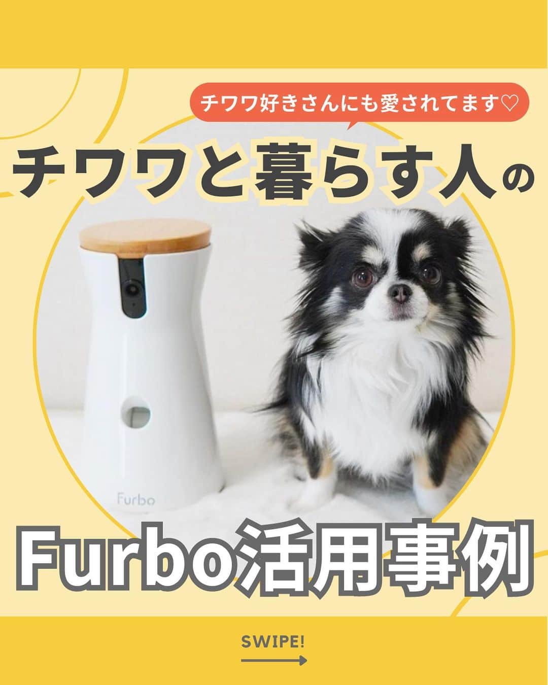 Furbo ドッグカメラさんのインスタグラム写真 - (Furbo ドッグカメラInstagram)「@furbo_japan 👈 他の投稿はこちらから ⁠ ⁠ チワワ好きさんにも愛されてます💓⁠ チワワと暮らす人のFurbo活用事例🔍✨⁠ ⁠ チワワ好きさんたちによる⁠ Furboのレビューをご紹介しました🙌💫⁠ ⁠ 「うちのチワワも吠え癖が悩み🥺」⁠ 「他の機能の使用例も見たい！👀」⁠ 「他の犬種のファミリーはどうしてるの？🤔」⁠ など、気になる点をお気軽にコメントください🐶✨⁠ ⁠ Special thanks 📸 to ⁠ @mone_i_u_r⁠ @___chobista._gram⁠ @chie6_26⁠ @cocoa_12.03⁠ ⁠ ⋯⋯⋯⋯⋯⋯⋯⋯⋯⋯⋯⋯⋯⋯⋯⋯⋯⋯⋯⋯⋯⋯⁠ ⁠ Furbo 360°ビュー🎥 本体と⁠ Furboドッグシッター* がセットになった⁠ ✨Furbo定額セットプラン✨なら⁠ ⁠ Furbo本体が【 最大56%OFF 】！！🥳⁠ ⁠ さらに！⁠ 14日間は “無料” で⁠ Furboドッグシッターを⁠ ご利用いただけます🌟⁠ ⁠ プロフィールのリンクから⁠ まずは価格を比較してみてね🐶✨⁠ ▶︎ @furbo_japan⁠ ⁠ ⋯⋯⋯⋯⋯⋯⋯⋯⋯⋯⋯⋯⋯⋯⋯⋯⋯⋯⋯⋯⋯⋯⁠ *Furboドッグシッターとは?🤔 :⁠ 日本初！AIを活用したドッグシッターサービス。⁠ FurboのAIが愛犬の安全や健康にまつわる⁠ リスクを察知してお知らせ＆自動録画するなど⁠ 様々な高機能をご利用いただけます。⁠ ⁠ Furboドッグシッターの契約期間も⁠ 月毎／1年／2年 から選べます◎⁠ ⁠ #Furbo #ファーボ #ファーボは見た #ファーボでお留守番できるもん #ドッグカメラ #ペットカメラ #見守りカメラ #お留守番カメラ #お留守番犬 #犬の留守番 #お留守番ありがとう #犬好きな人と繋がりたい #犬すたぐらむ #チワワlove #チワワがいる生活 #チワワ #chihuahua」4月21日 19時08分 - furbo_japan