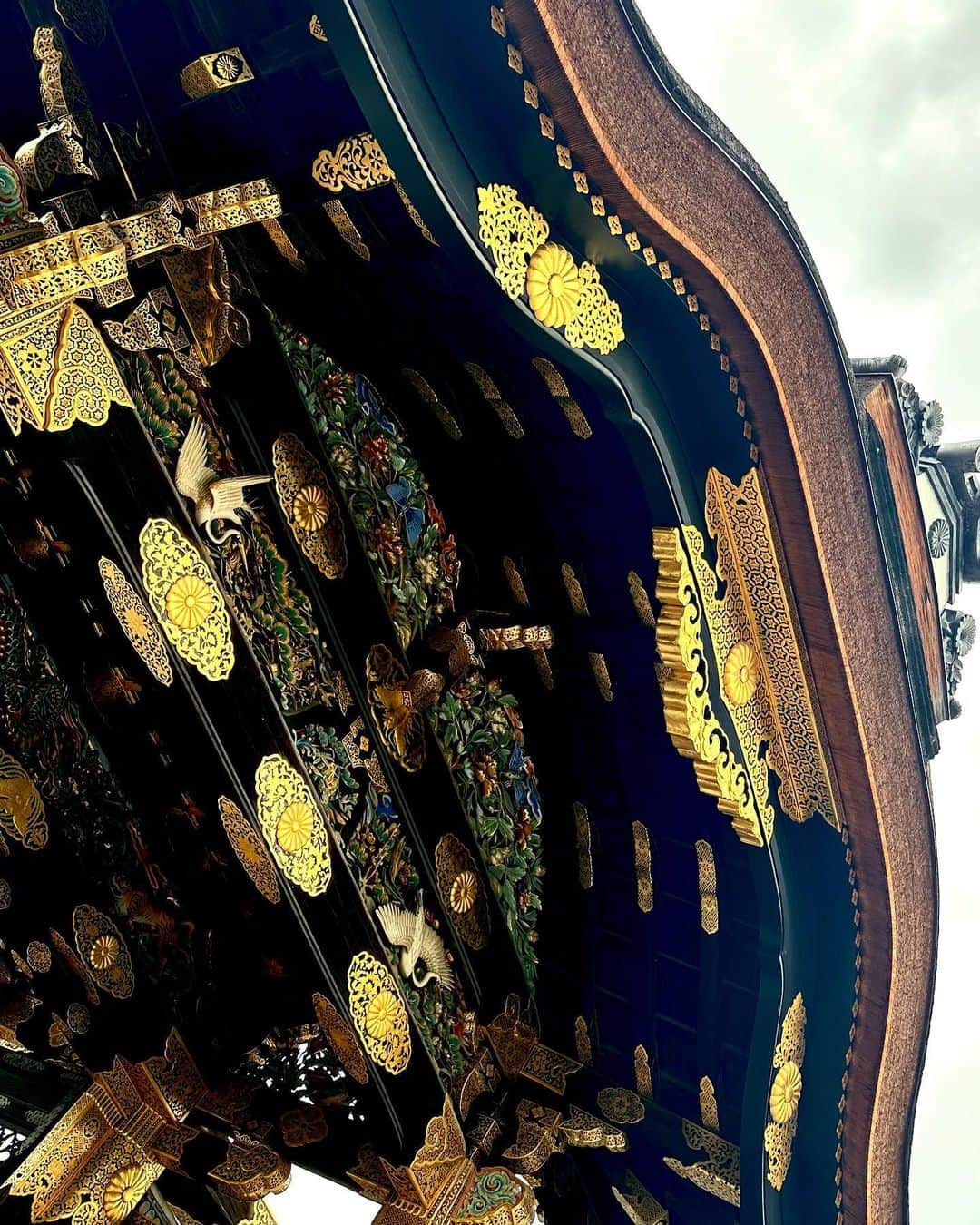 中川友里さんのインスタグラム写真 - (中川友里Instagram)「二条城でまだお花見🌸できた👶🏻  #hanami #sakura #kyoto」4月21日 20時05分 - darayunya