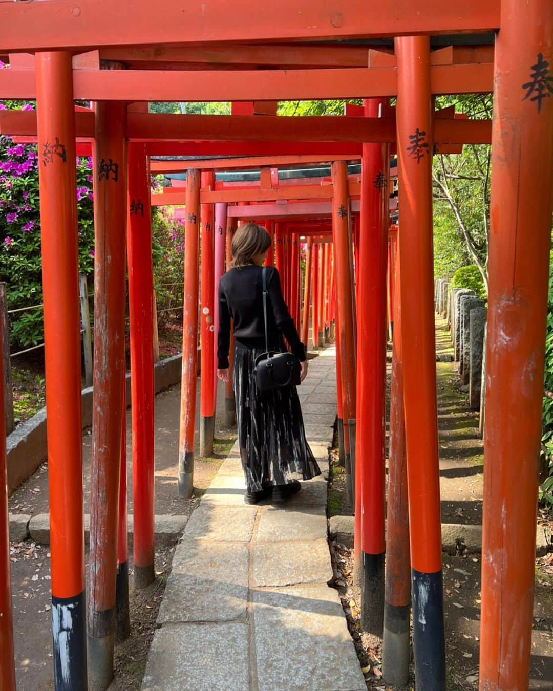 上杉真央さんのインスタグラム写真 - (上杉真央Instagram)「根津神社に行ってきた！  お外を歩くのが楽しい季節になってきてしあわせ。  まりあんぬとはタイミングが合わず桜の季節を逃してしまったので、一緒につつじを楽しんできました〜。  可愛い筒(?)に入ったおみくじも引きました。なんだか良いことありそう！(っておみくじ引くたびに毎回言うてる気がする。笑)  #根津神社 #つつじ祭り  #野田真理愛 #上杉真央」4月21日 20時13分 - maouesugi