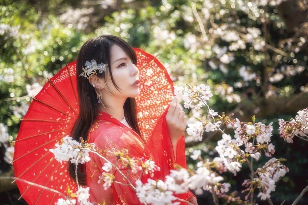 Mikaさんのインスタグラム写真 - (MikaInstagram)「木花之佐久夜毘売  来週は栃木の藤と撮影です。 まだ綺麗に咲いててくれてるかな？  紫陽花の時期は福岡行く事になりました。 現地のカメラマンさんよろしくお願いします🤲  今から楽しみにしてます♪  ・ ・ ・ photo by @df_style_p  model @mikarin_portrait  ・ ・ ・ ・ follow me💋  #美花展 #桜ポートレート #日本の桜 #和装モデル  #被写体モデル #カメラ女子 #キリトリセカイ #ポートレートセレクション #ポートレート撮影 #被写体依頼受付中 #スクリーンに恋して #カメラマンさんと繋がりたい #被写体なります #ポートレートしま専科 #写真を止めるな #jp_portrait部 #jp_portrait_collection #portrait #japanesegirl #asiangirl #love_camera_club #asianbeauty #japanesecherryblossom  #super_portrait_channel #cherryblossomseason  #lovers_nippon_portrait #excellent_portraits #top_portrait_photo #pasha_magazine #tokyocameraclub」4月21日 20時07分 - mika_portrait